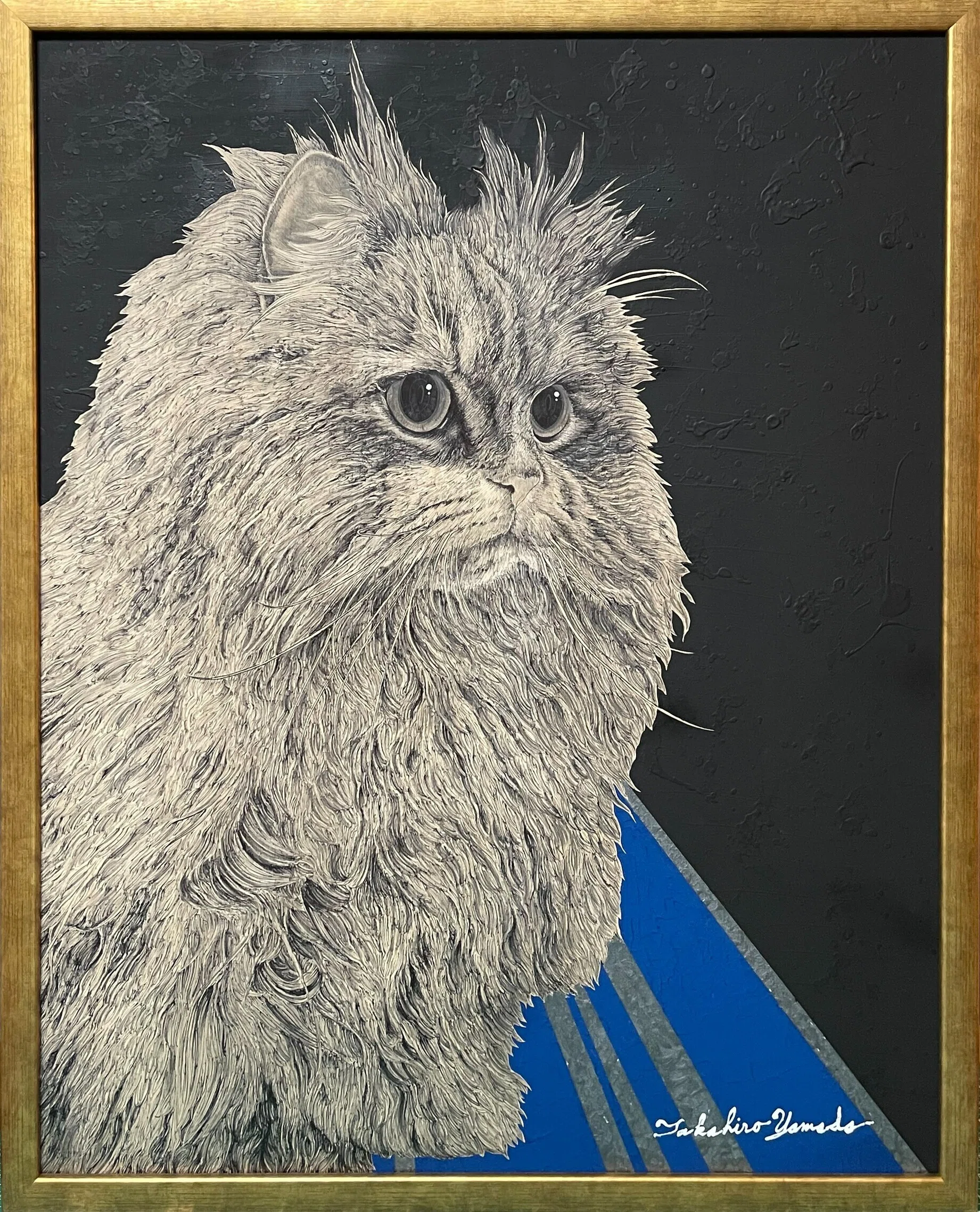 今週の猫】 Cat of the Week 2026/6/17｜山田貴裕