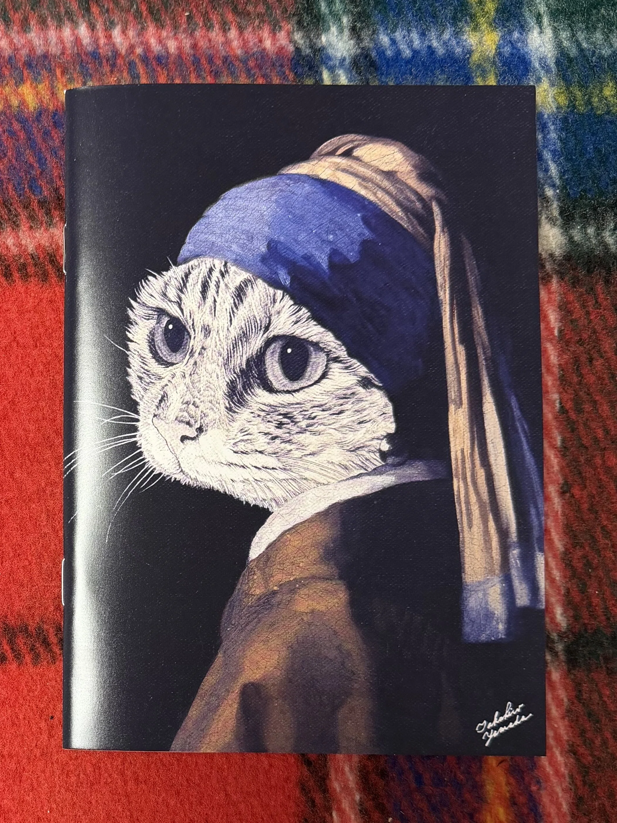 今週の猫】 Cat of the Week 2026/6/17｜山田貴裕