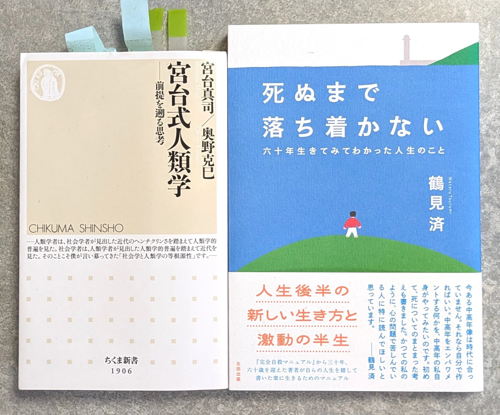 宮台真司さんと久しぶりに対談します｜鶴見済