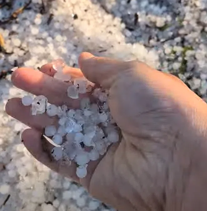 農園に雹が降った日のリアル - 「全滅」をプロジェクトマネジメントで
