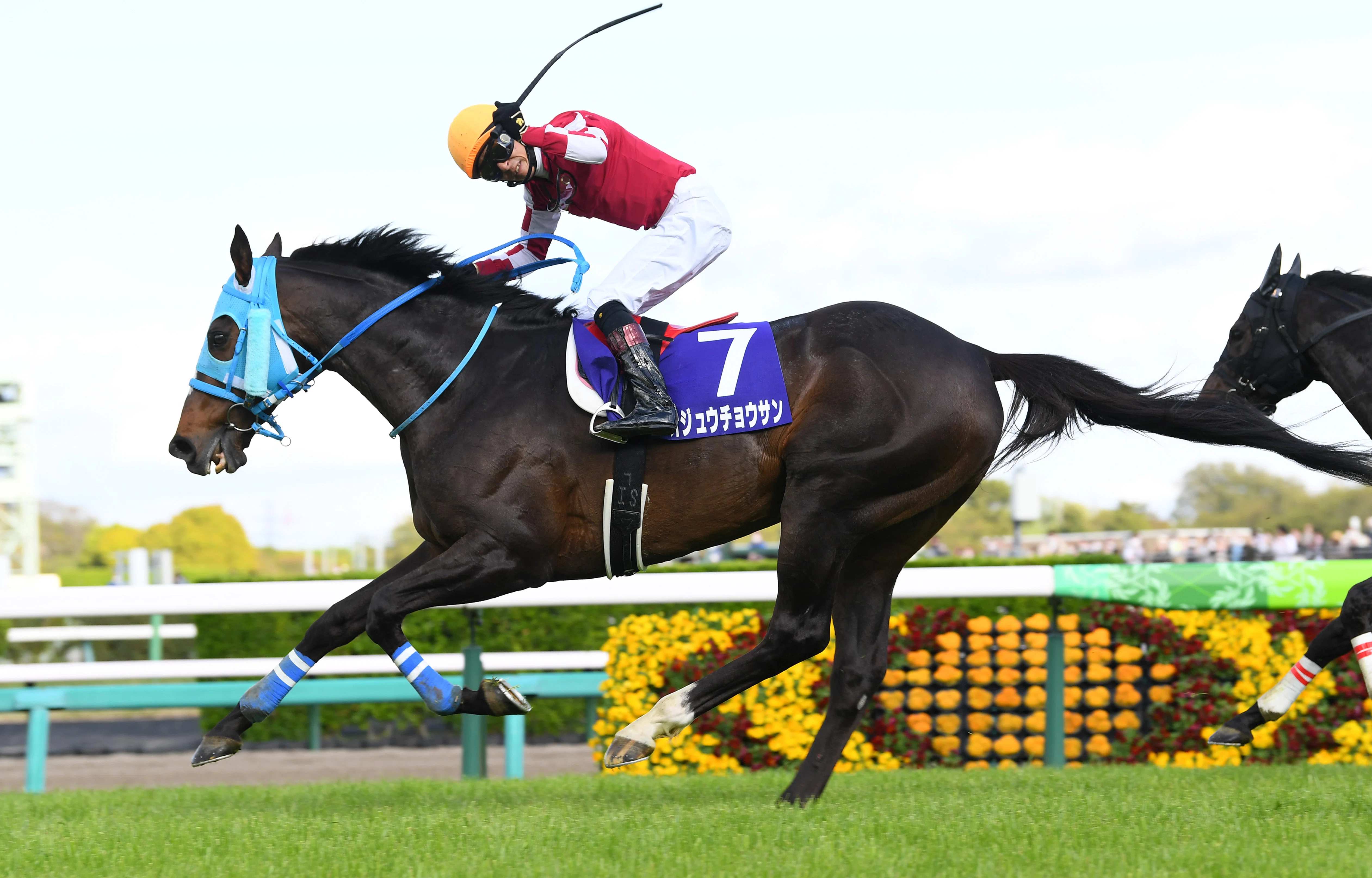 2026年度の顕彰馬が発表。私の投票馬は…(サンスポ板津)｜サンスポレース
