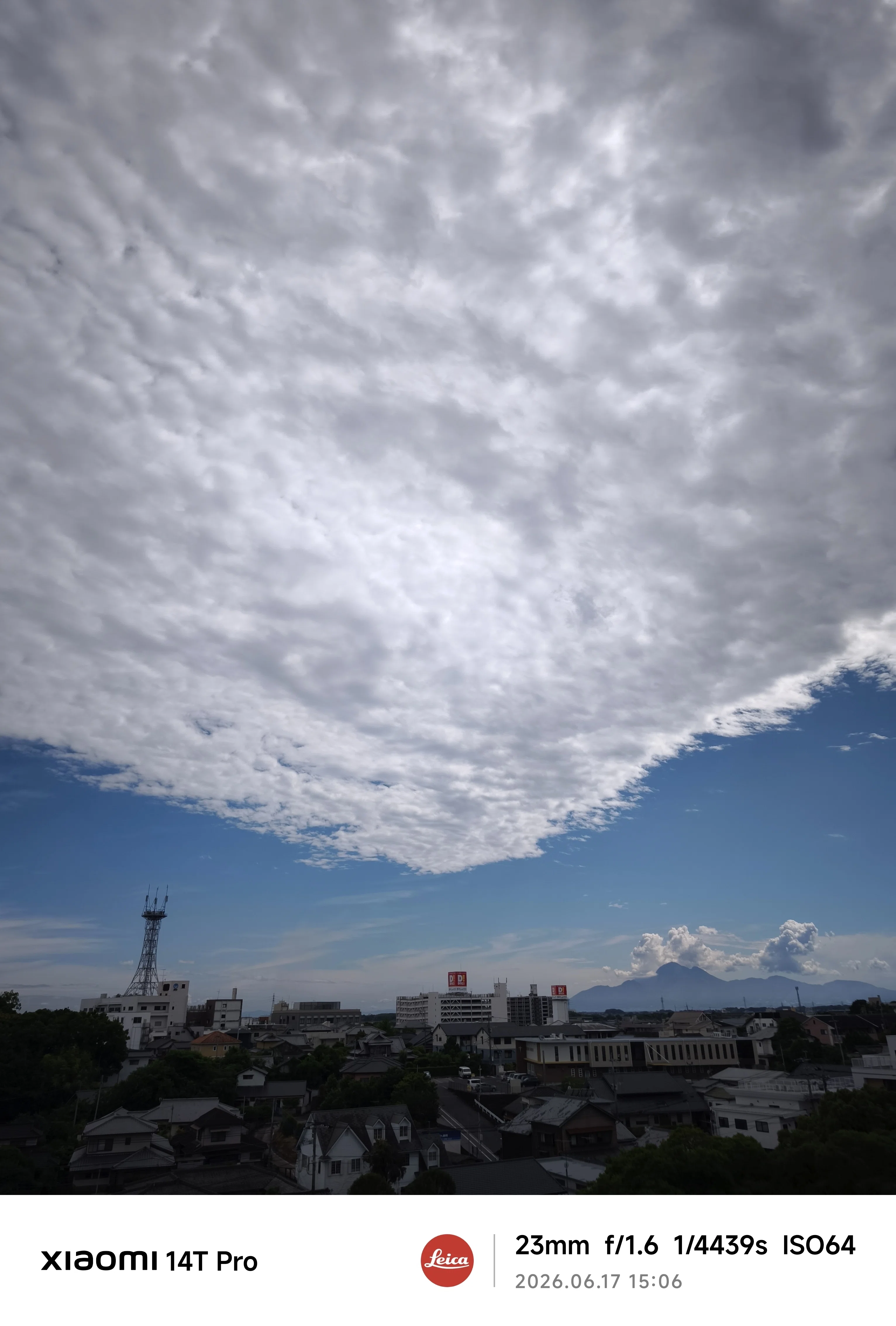 6月17日（水） 梅雨の間の楽しみを見つけないと｜furukuma