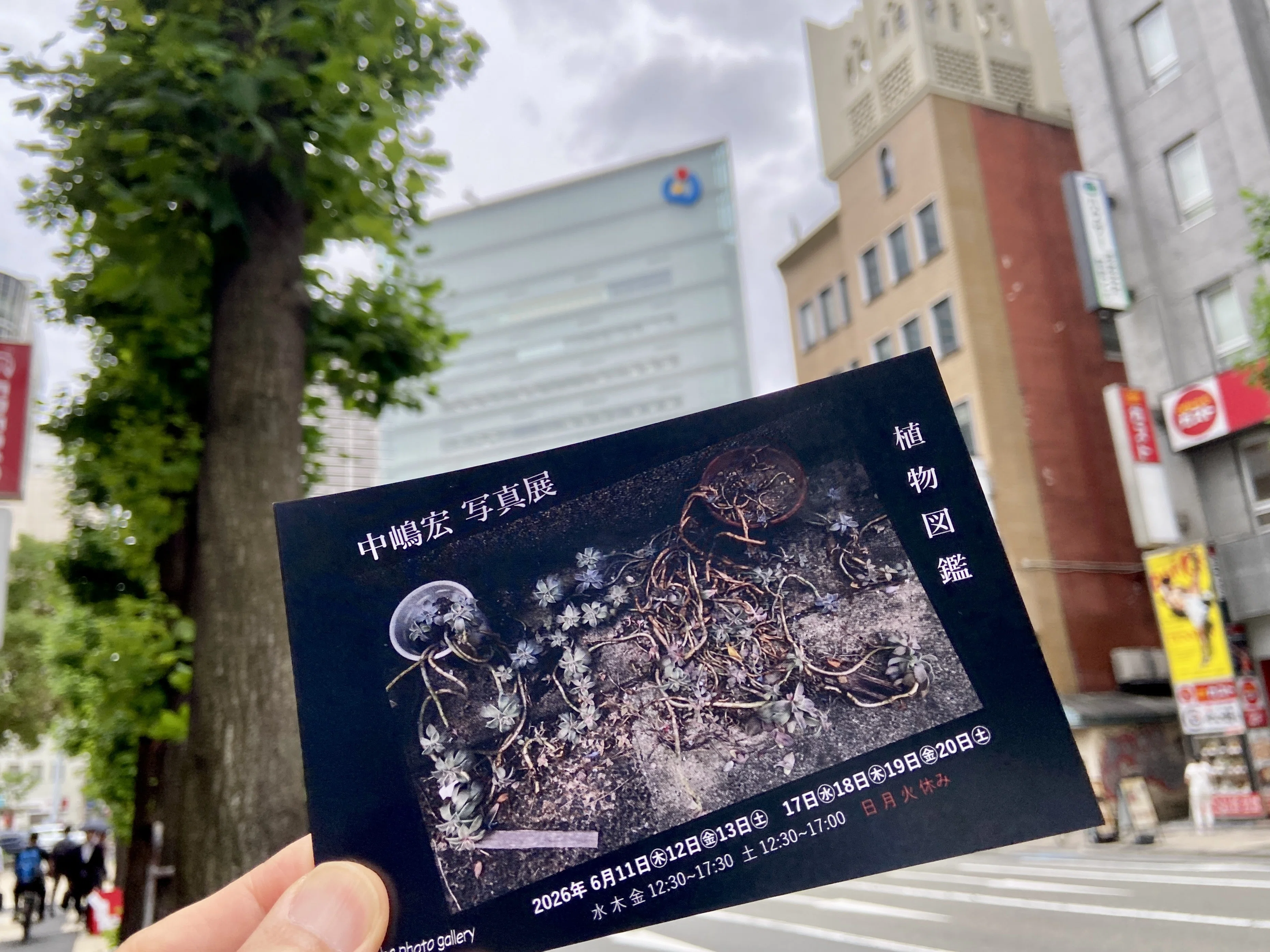 中嶋 宏写真展「植物図鑑」Yoho photo gallery（大阪市）｜新宅 成憲