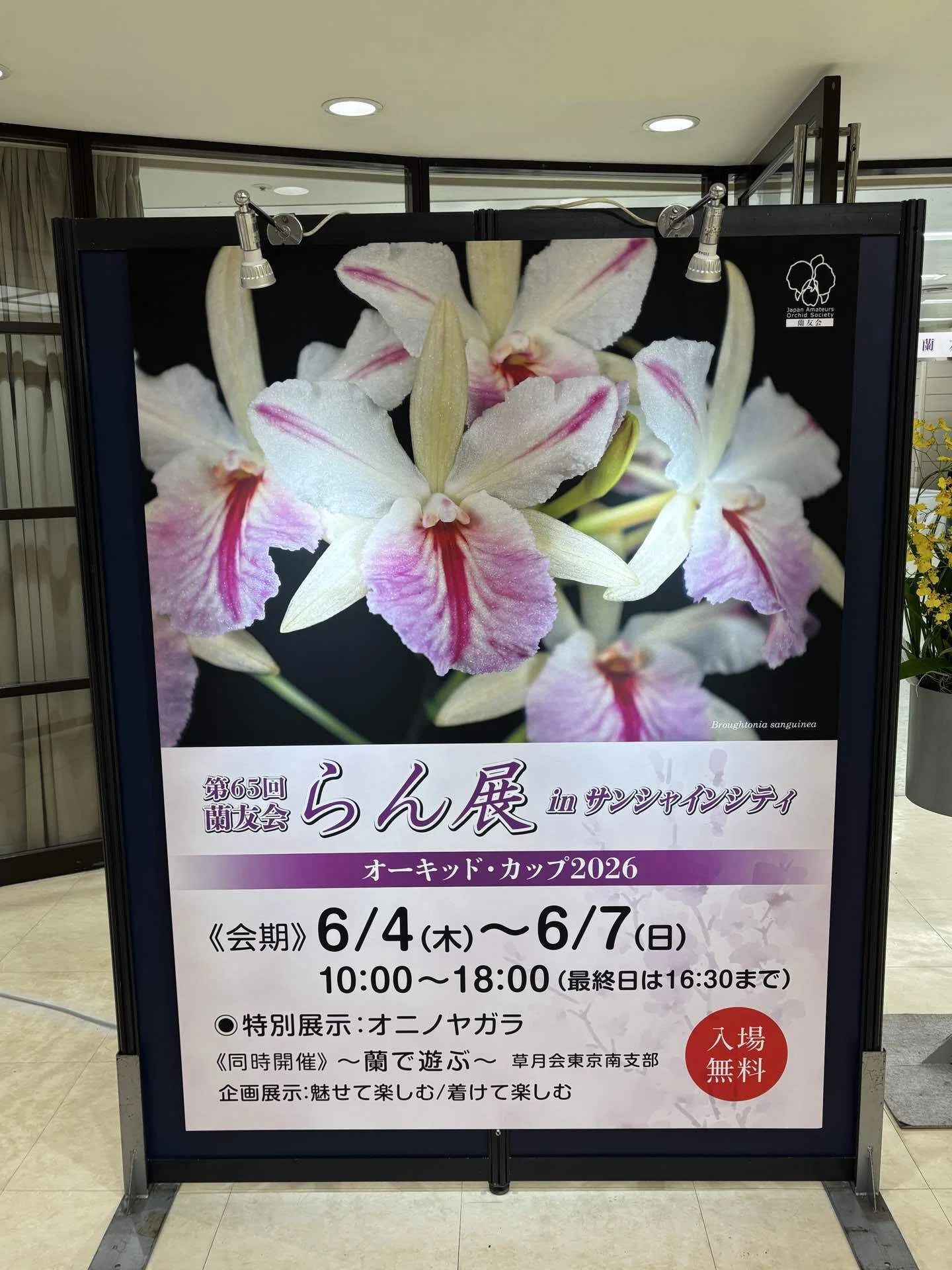 第63回蘭友会らん展inサンシャインシティ｜sioncolorwheel