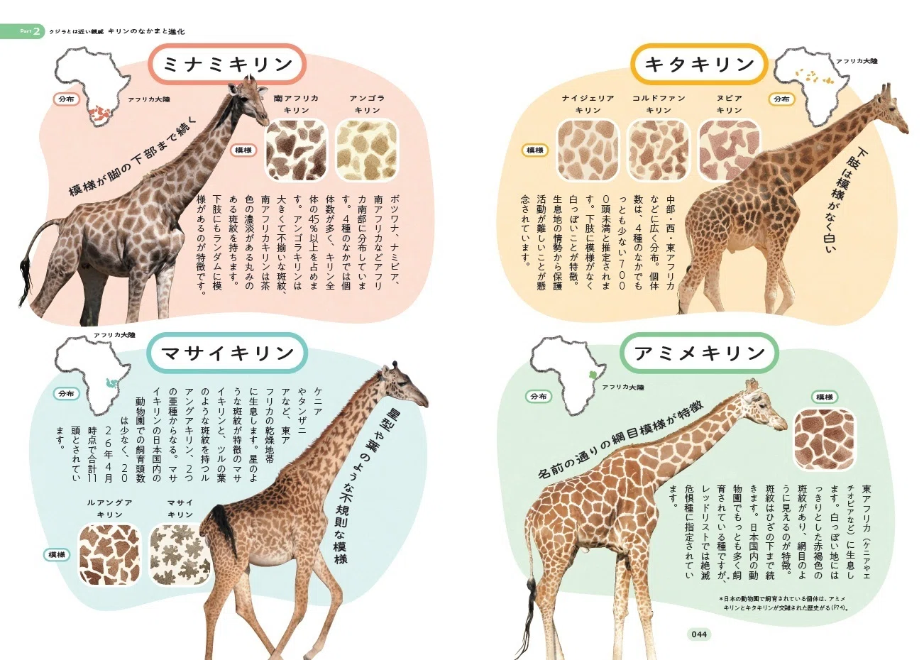 キリン の 種類