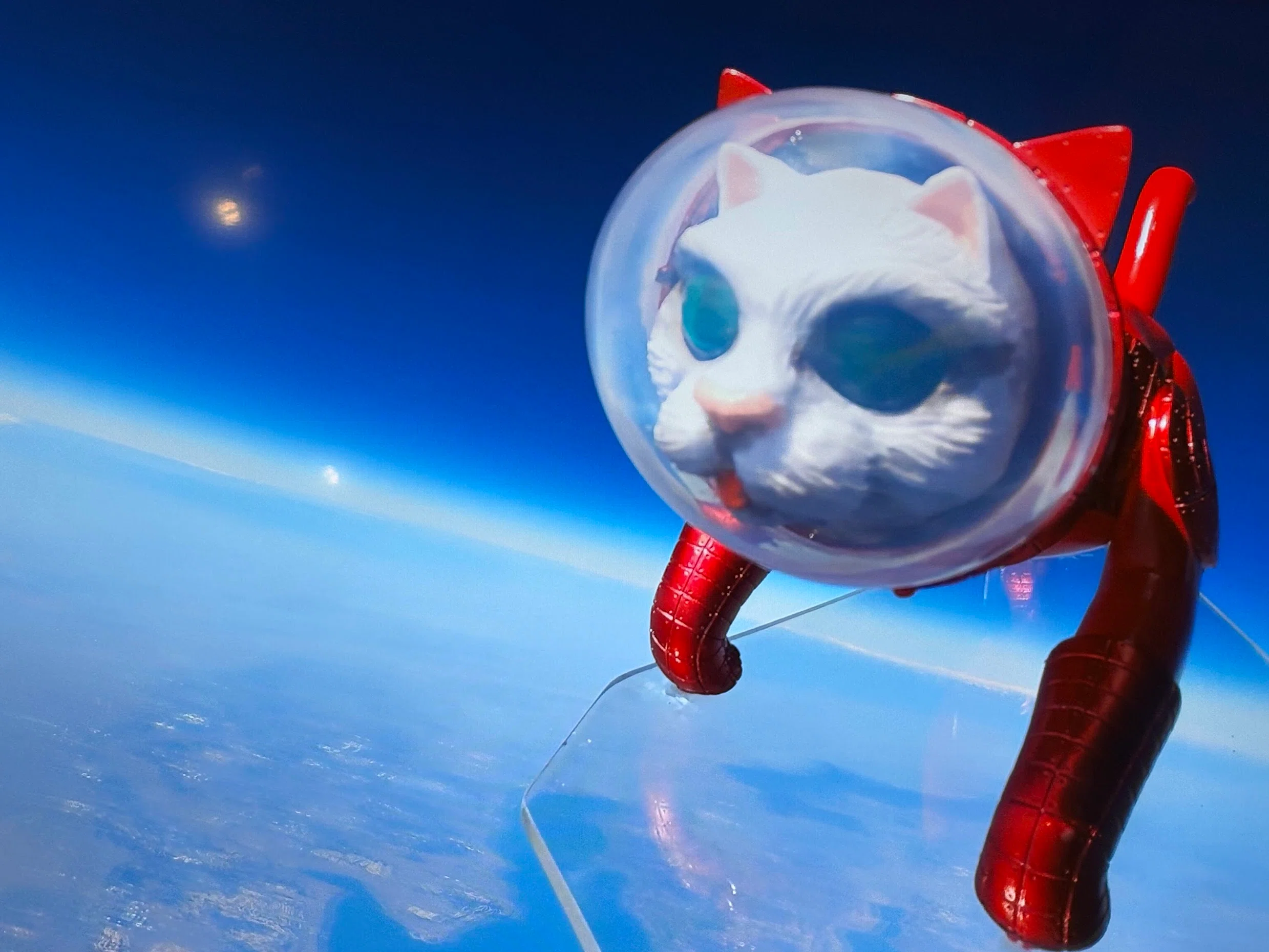 宇宙猫を見に、大阪中之島美術館へ｜ういうい