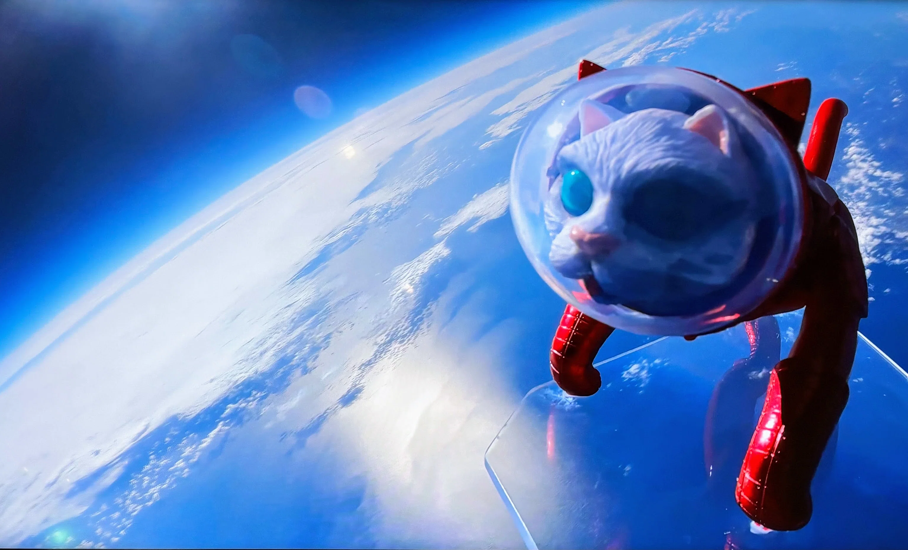 宇宙猫を見に、大阪中之島美術館へ｜ういうい