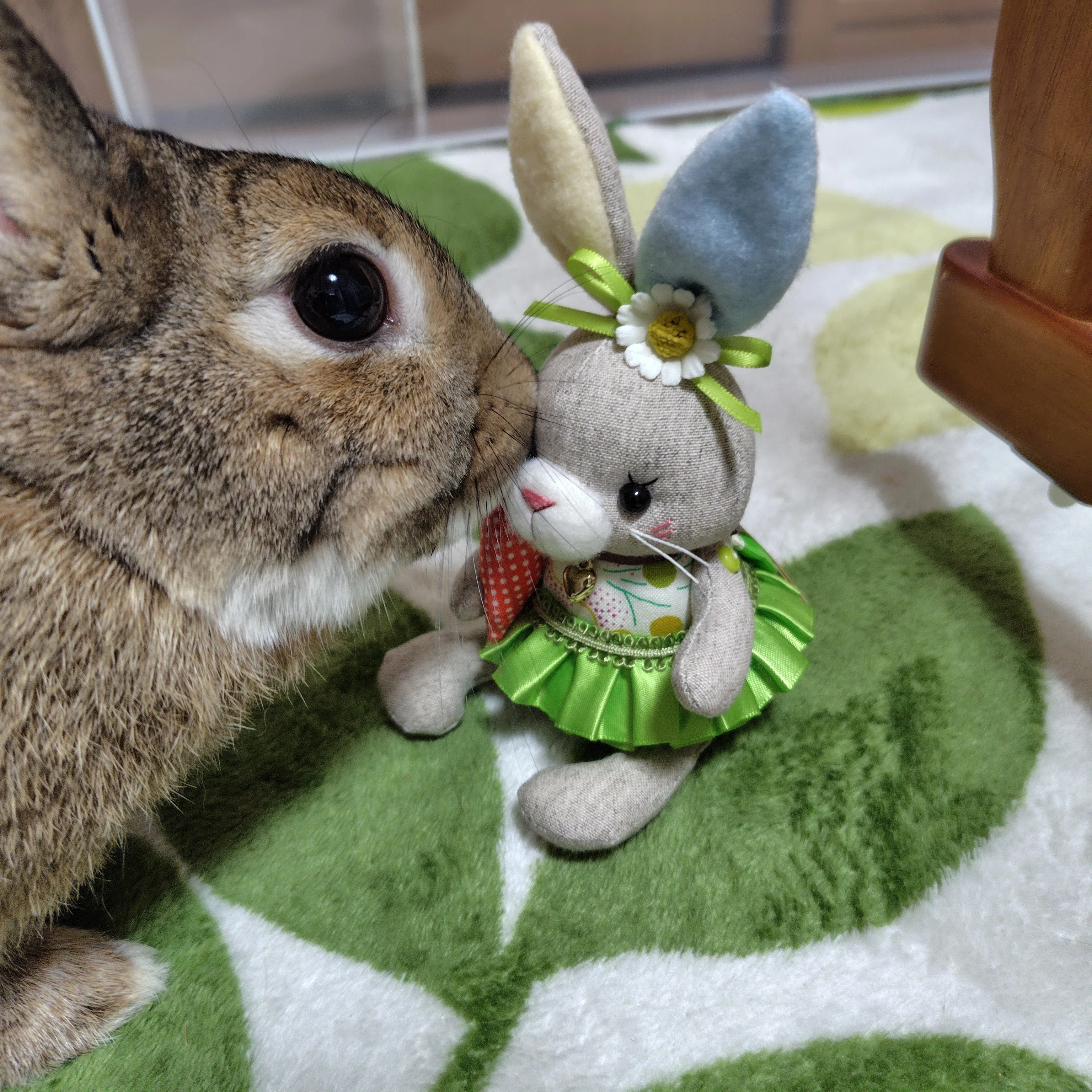 🐇【おひさまハウスのぬいぐるみ展】行ってきました｜mike