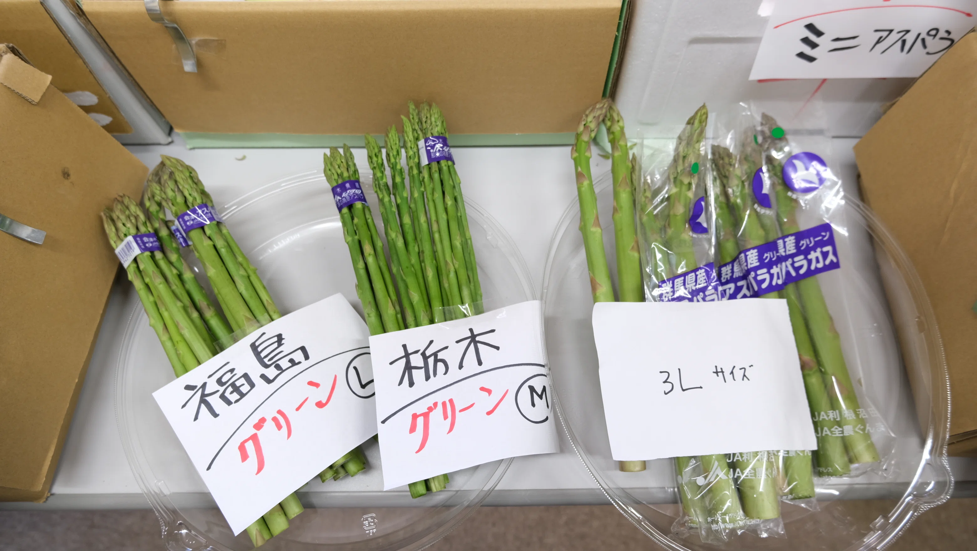 八百屋塾レポート】 勉強品目：アスパラガス（2026/5/17開催）｜八百屋塾