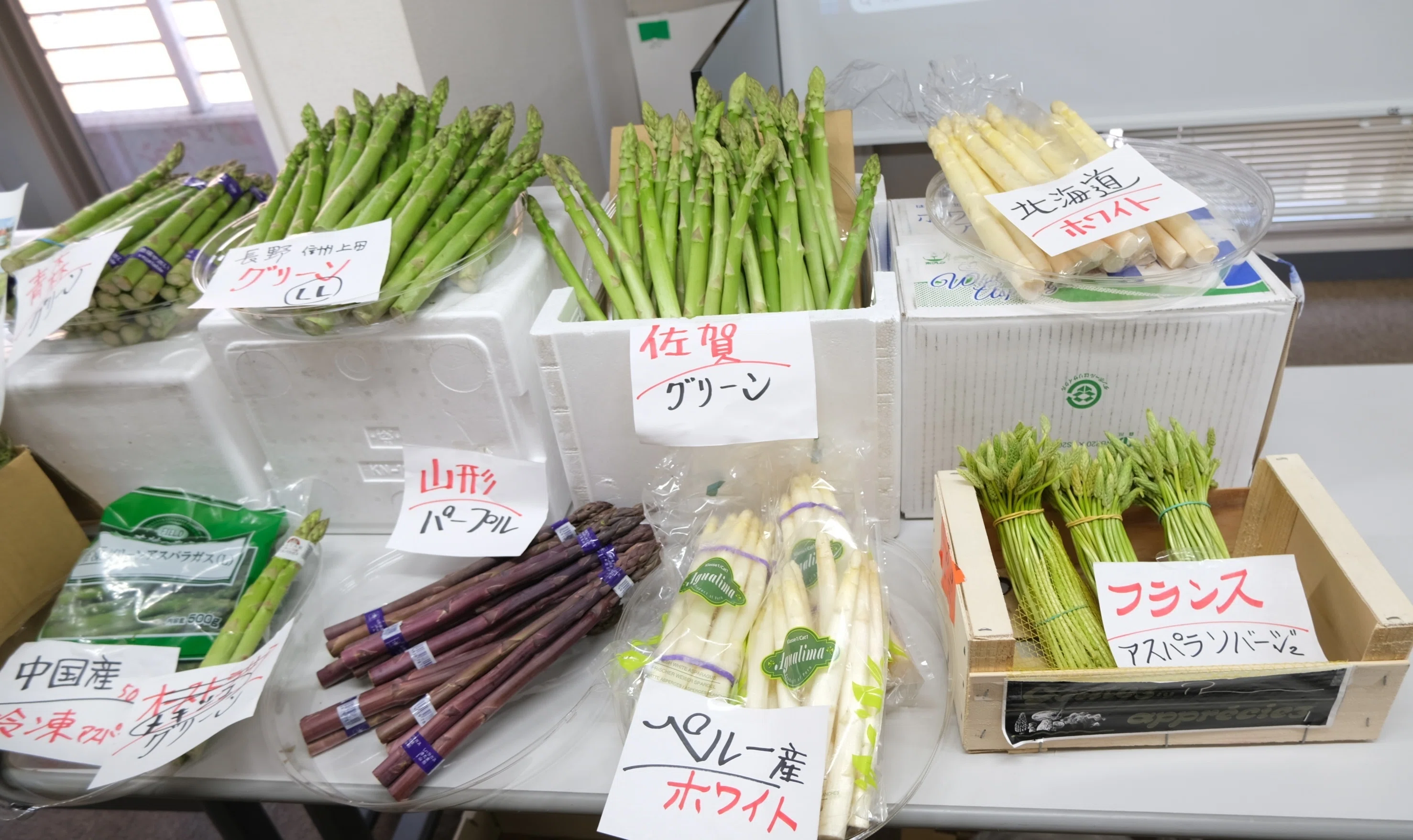 八百屋塾レポート】 勉強品目：アスパラガス（2026/5/17開催）｜八百屋塾