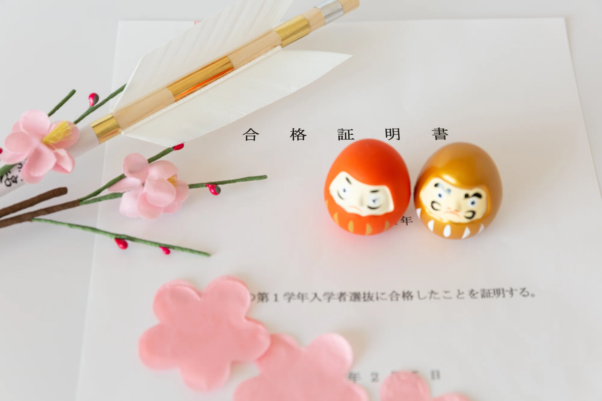 小学校受験】桐朋学園小学校 志望動機書の書き方 追補3版｜絶対合格