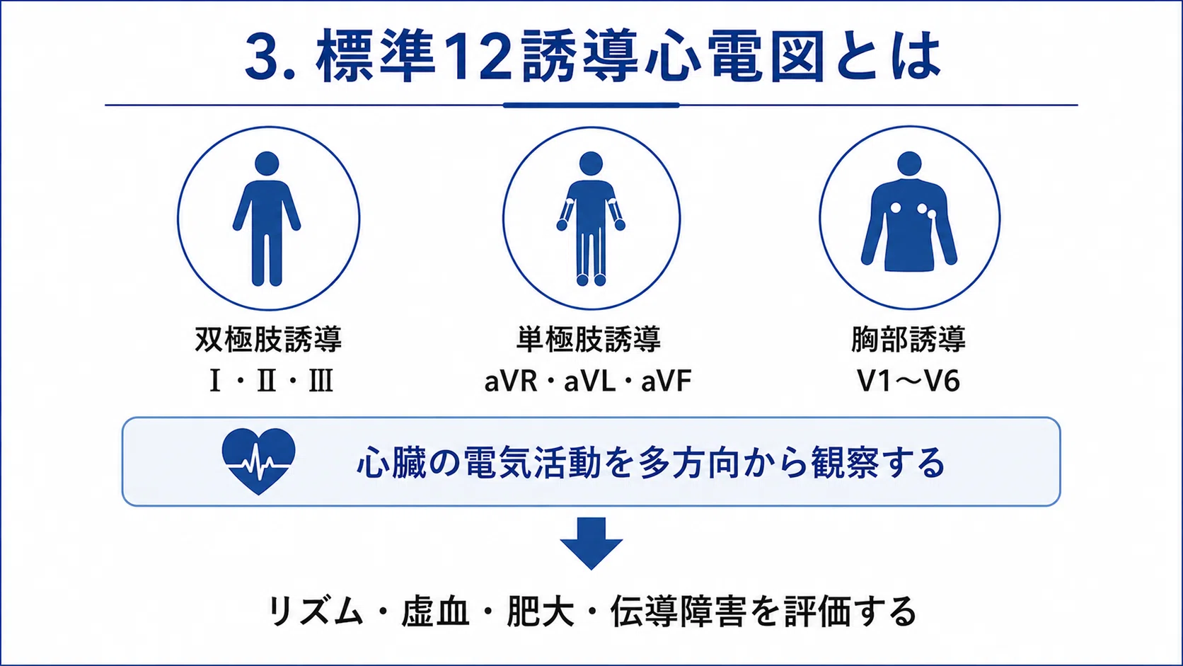 標準12誘導心電図の読み方と危険波形の見抜き方｜臨床で役立つ判読の