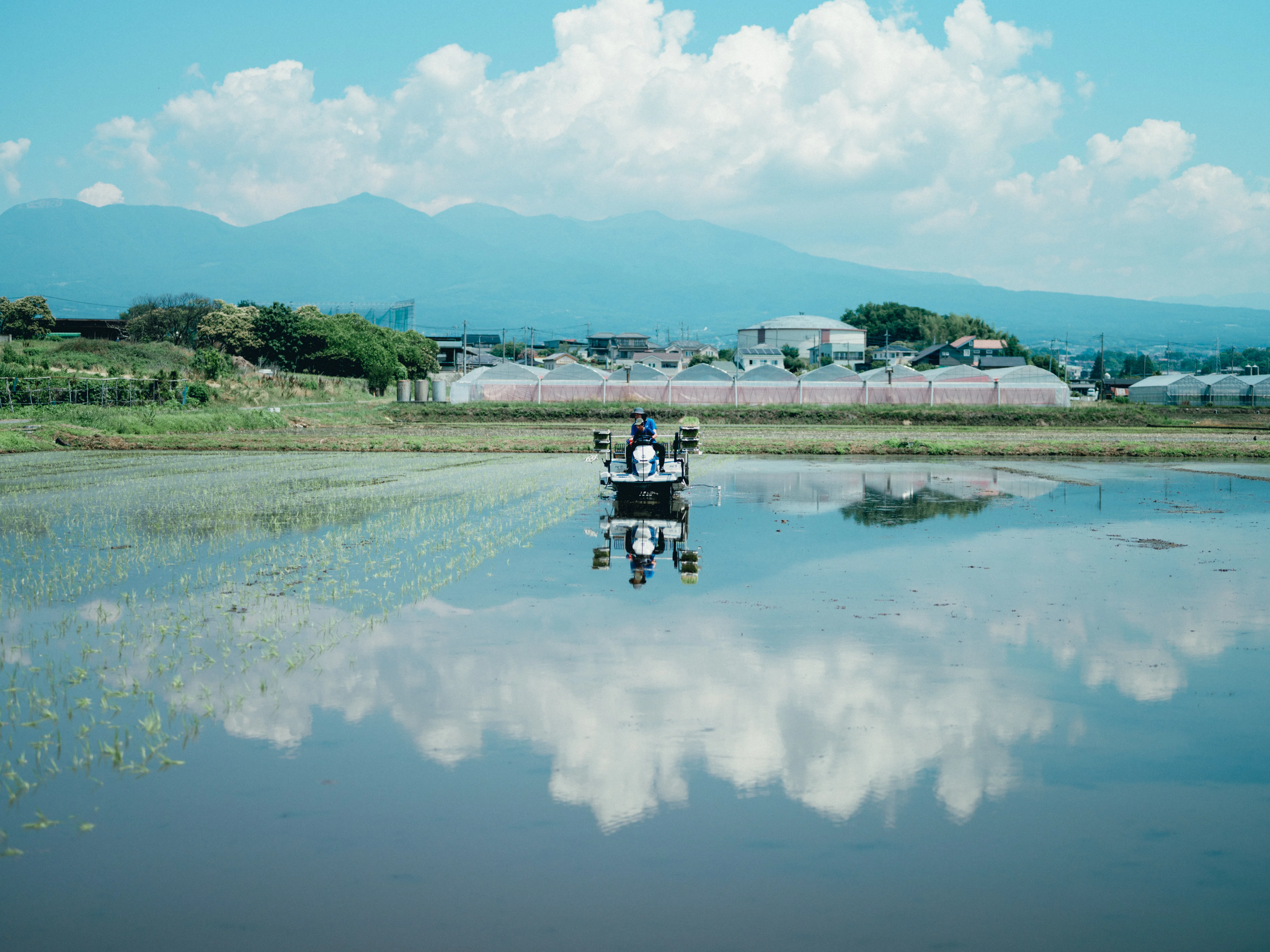 田植え2026後編｜ハシモト