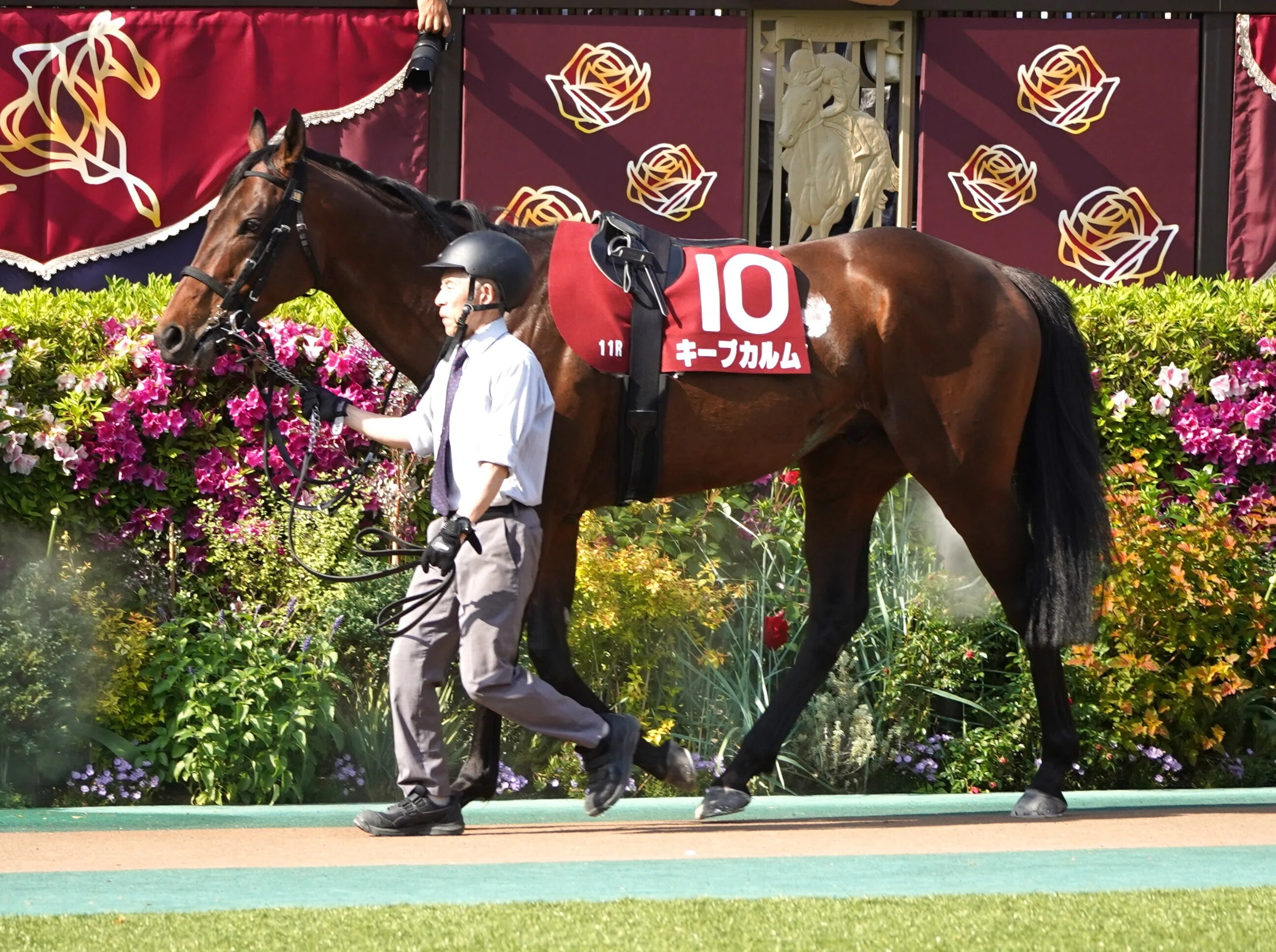 しらさぎSの馬券を当てよう!!! ひら砲note版、今週末のGⅢを制す馬は