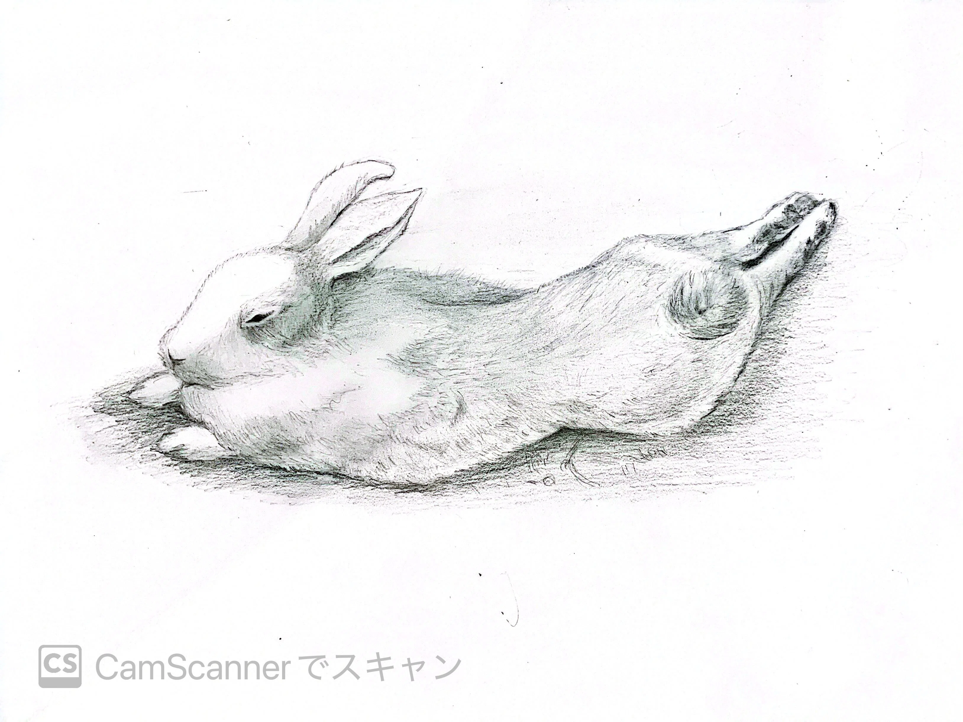 しっかりした大人になりたかった【6月③】｜めっこ