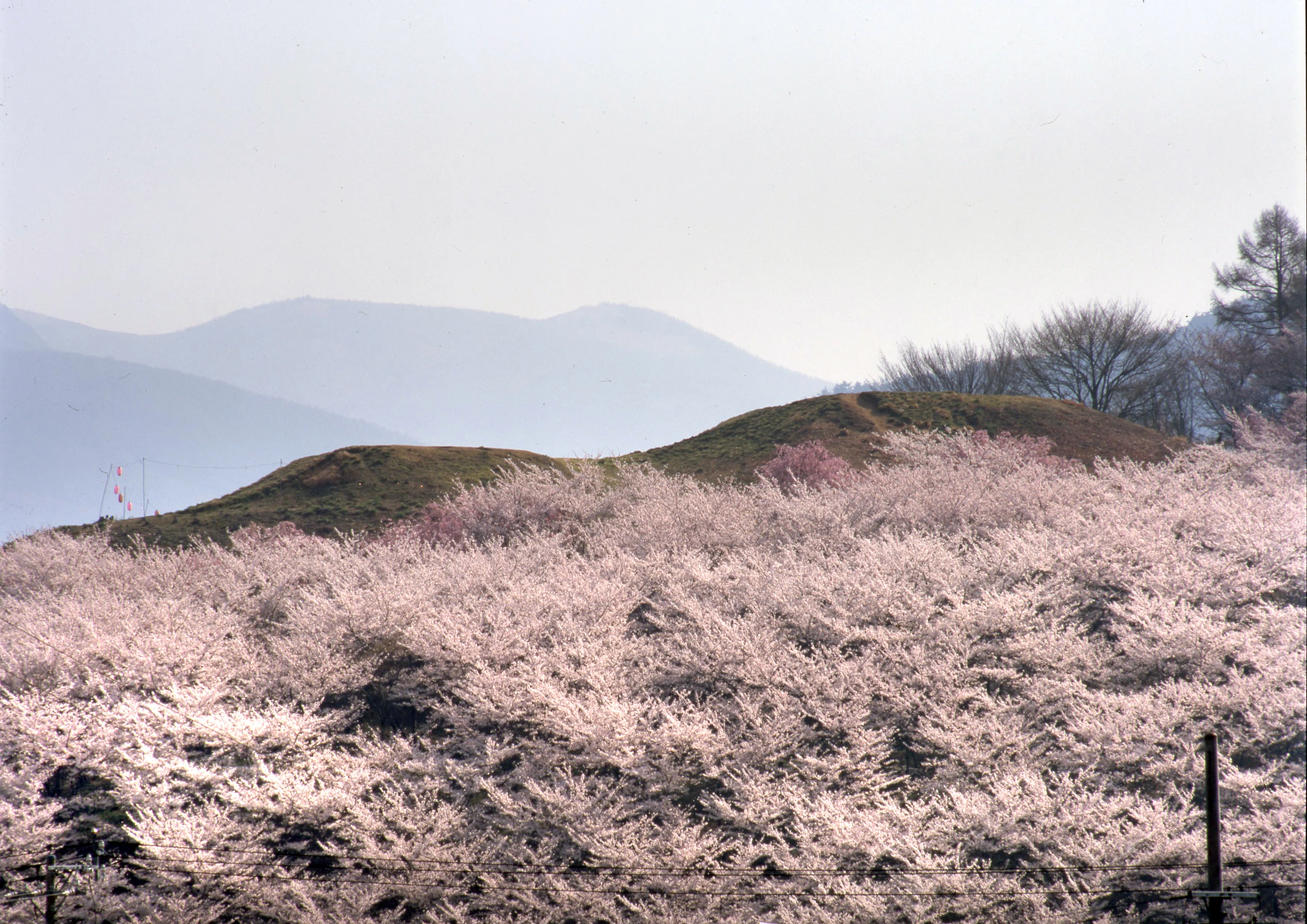弘法山古墳が語り始める｜松本市公式note