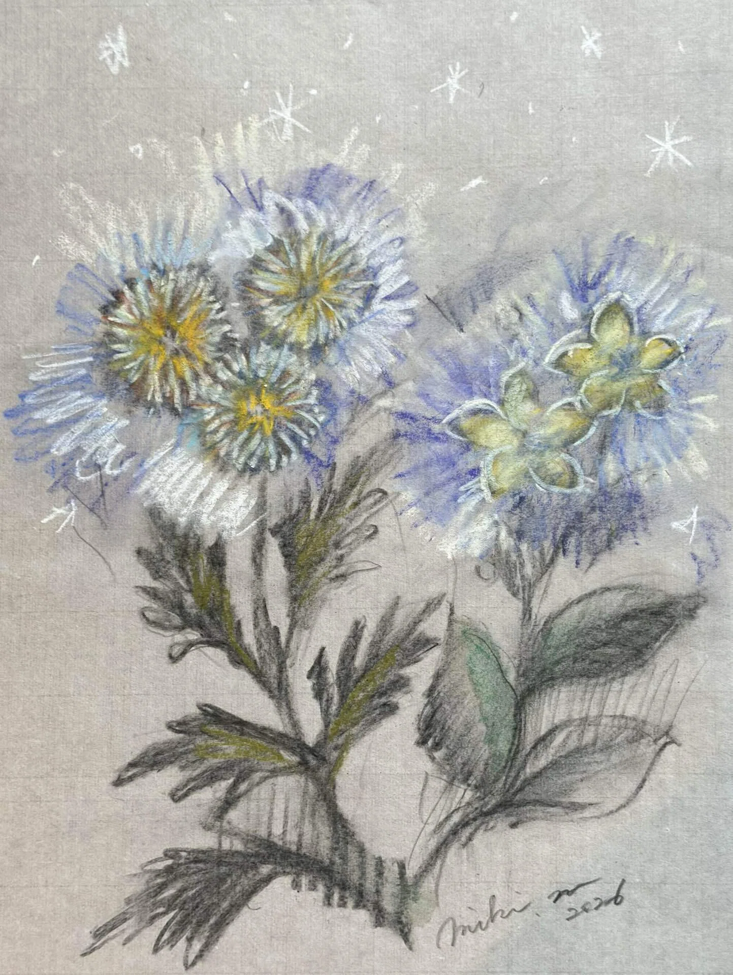 美しい古美術◾️蔵から紺色のアザミの花が描かれたステキな雰囲気の夏茶碗？が出て来た 見習い魔女シアの夏至祭カウントダウン』〜光をまとう日 【あと2日