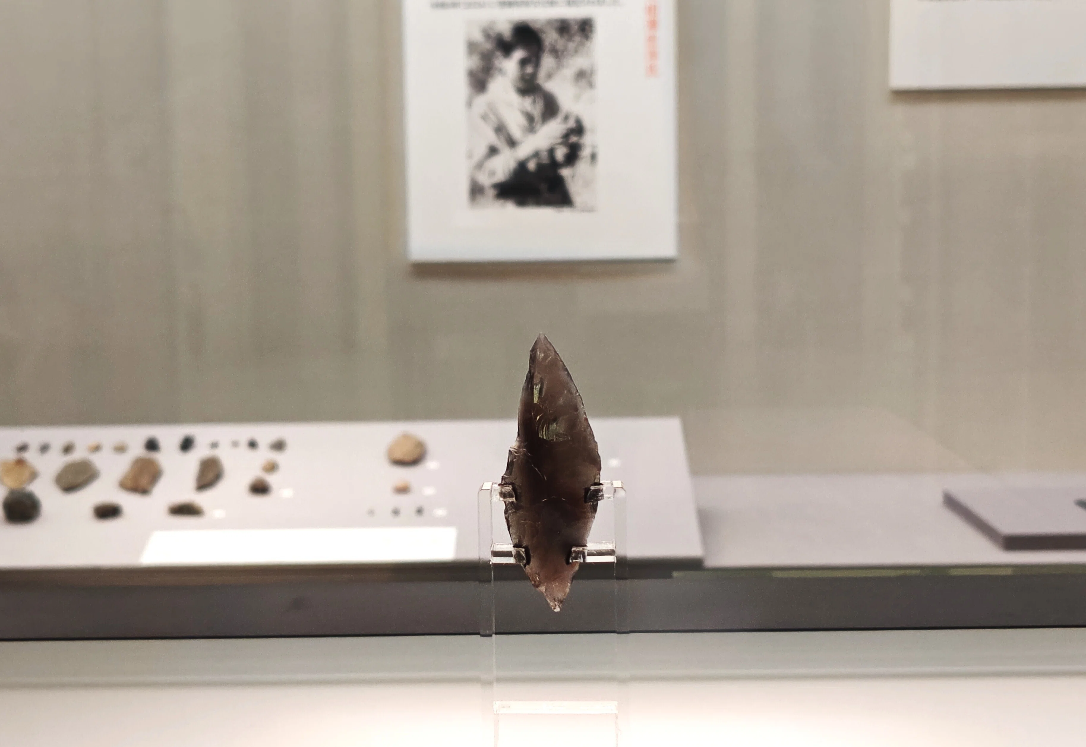 The Paleolithic Era is Hot Right Now! 80 Years of Miracles and the