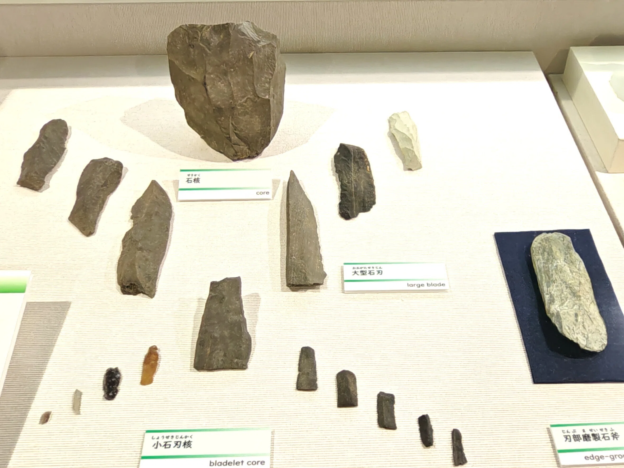 今、旧石器時代が熱い！ 80年前の奇跡と最新の発見｜のんてり