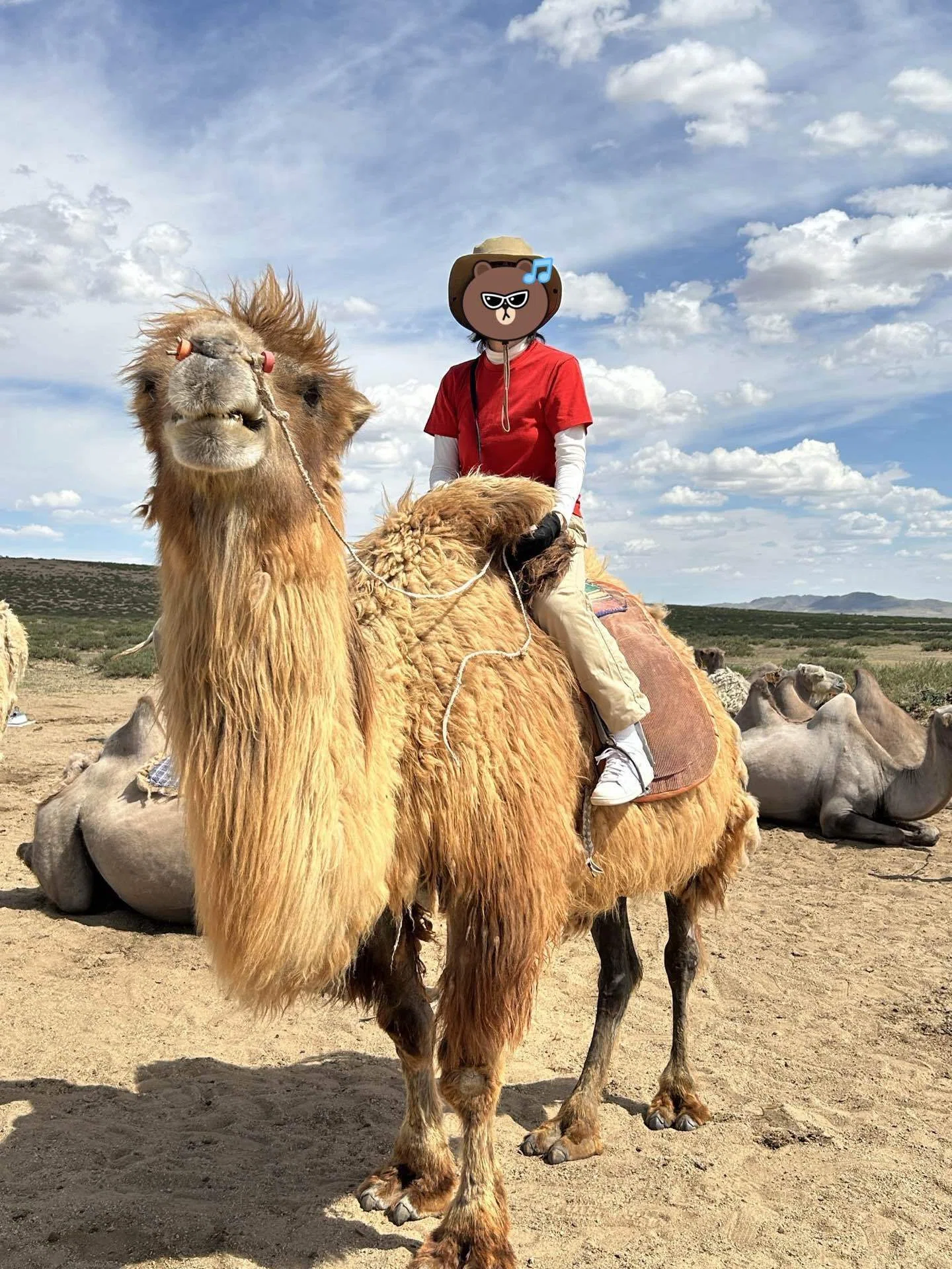 モンゴル旅日記🇲🇳遊牧民家族、動物たちとご対面✨｜さくりん。