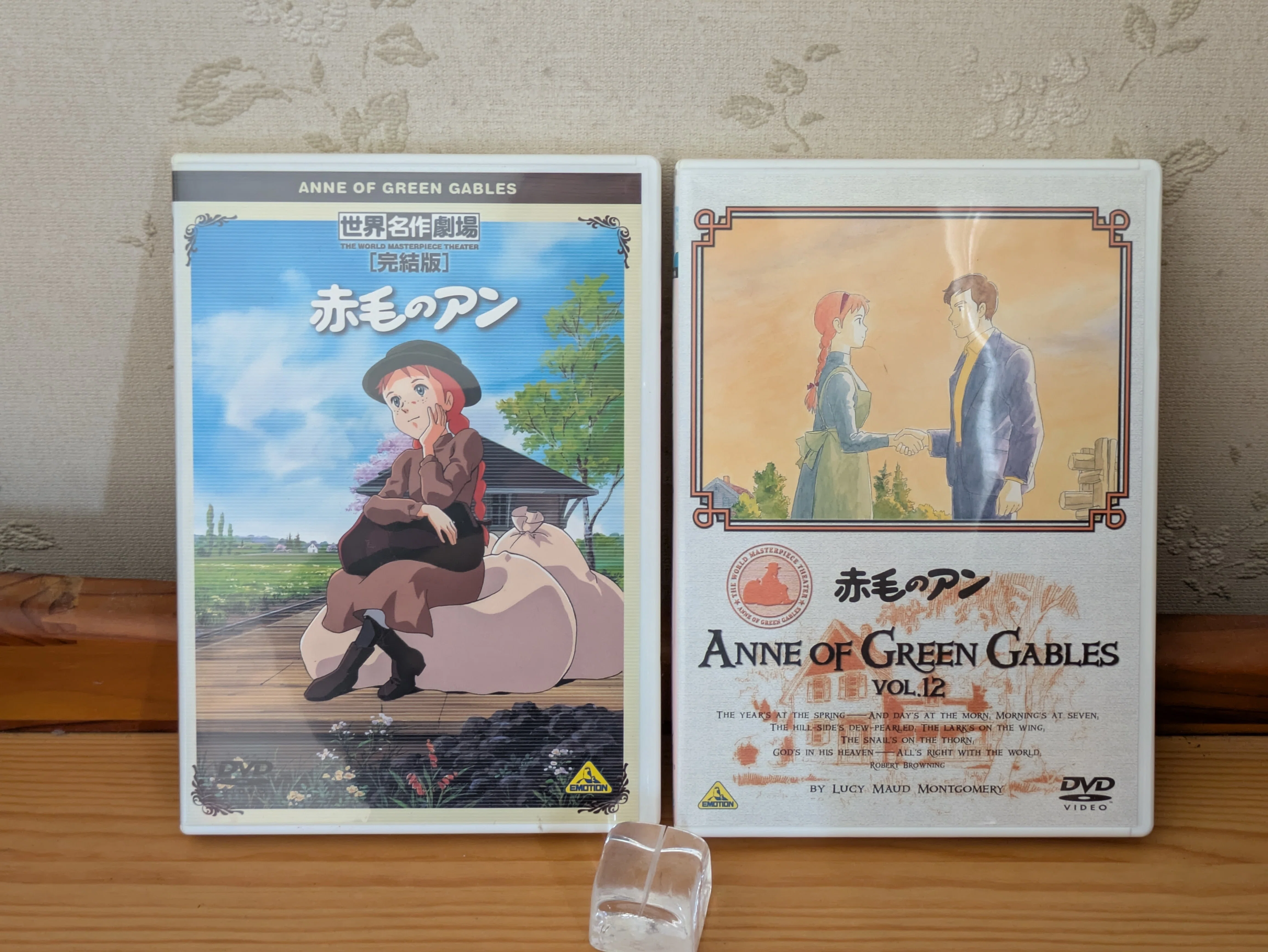 子供の頃に文学の香りを教えてくれた『赤毛のアン』｜海辺の小さな図書室