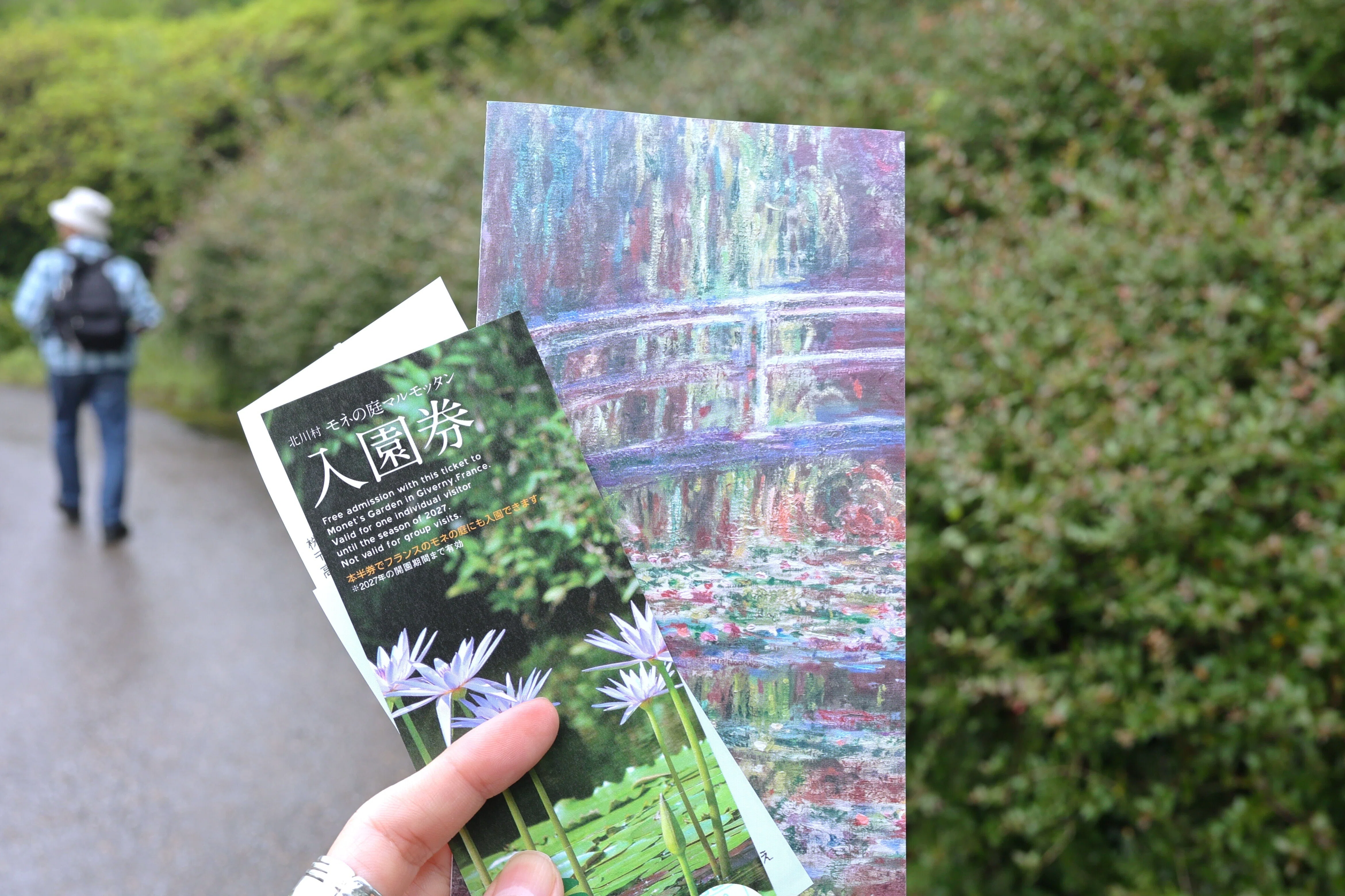 写真】北川村「モネの庭」-水面と睡蓮そして雨｜Abbey -旅するように