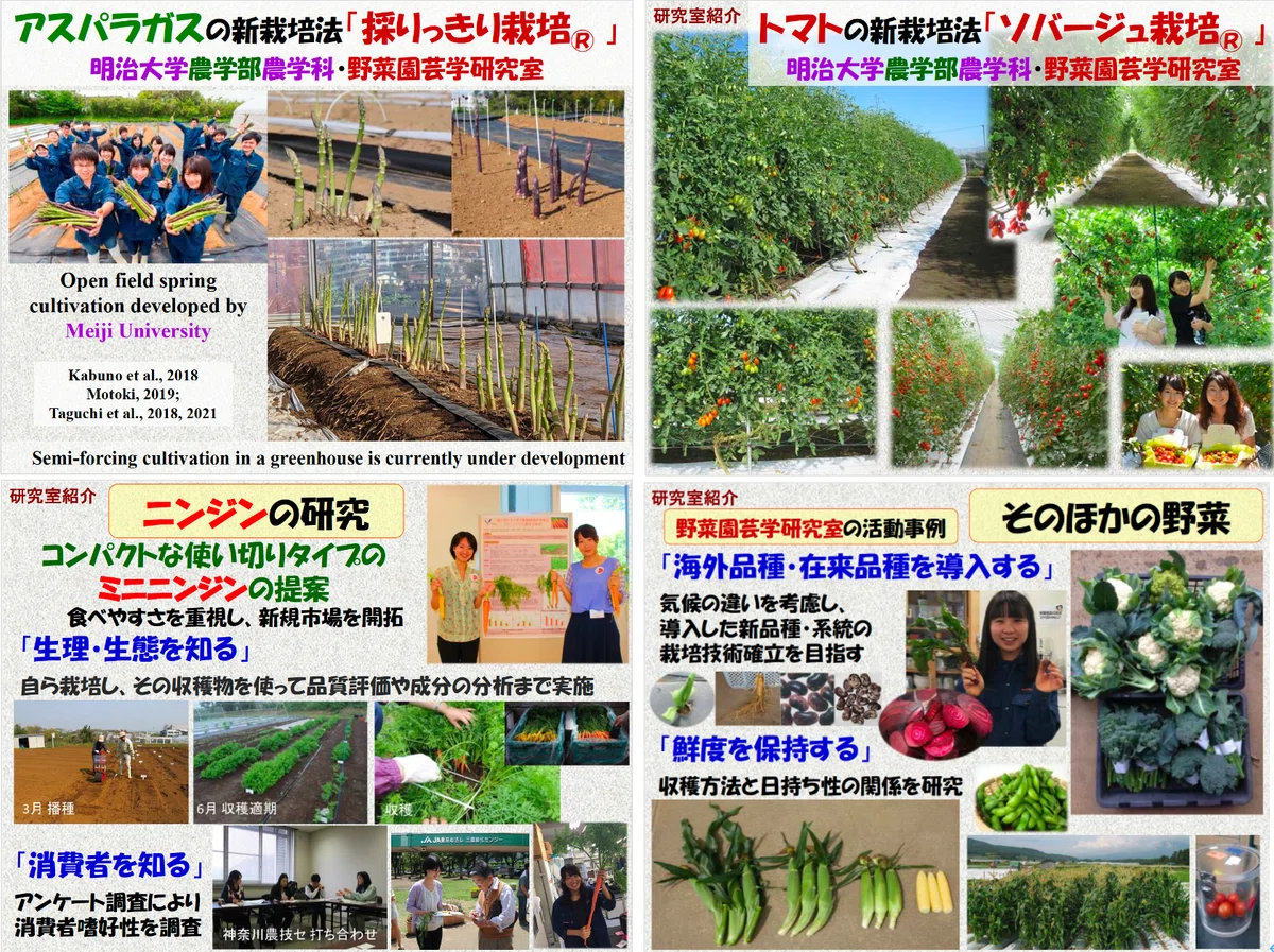 八百屋塾レポート】 勉強品目：アスパラガス（2026/5/17開催）｜八百屋塾