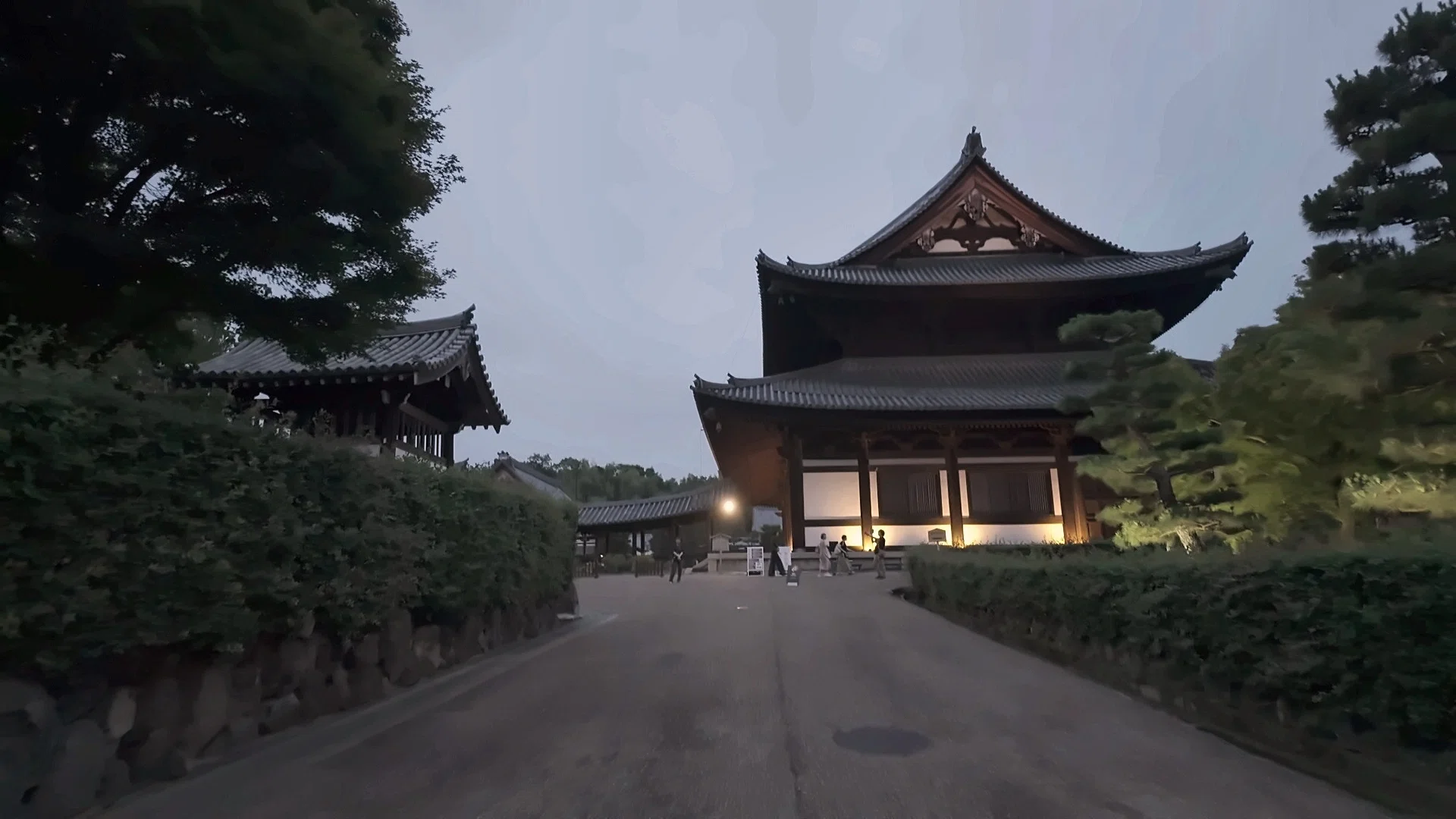 ZEN NIGHT 東福寺 | 東福寺｜Kousei Ikeda / 池田航成
