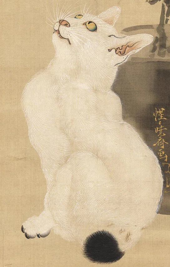 河鍋暁斎の世界」展出品作⑨暁斎《蝶と菊に猫》明治4-22年（1871-89年