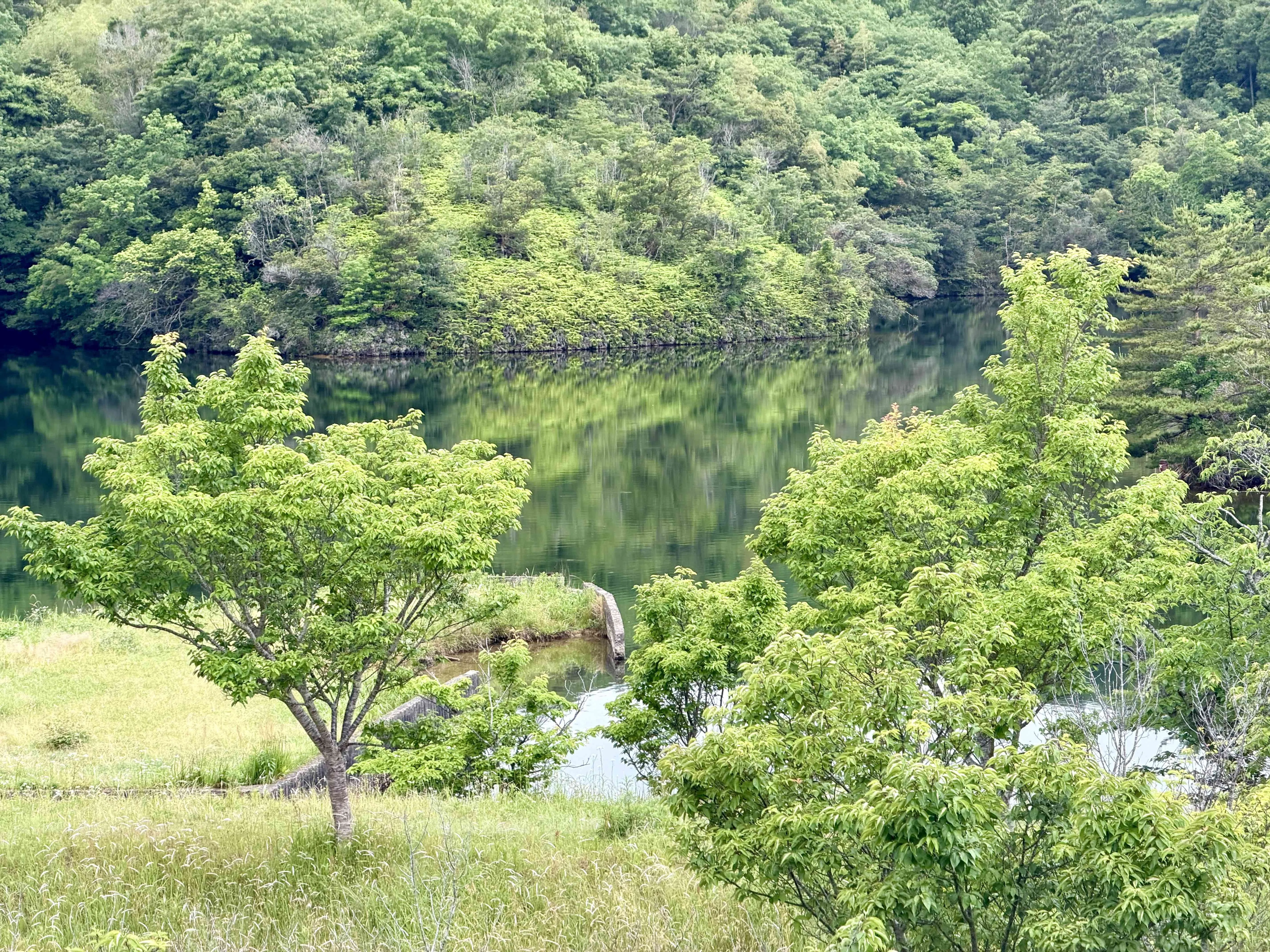 旅•景色 早朝散策＠益田｜Tegeed Odoo