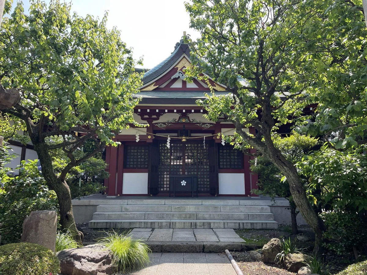 画像