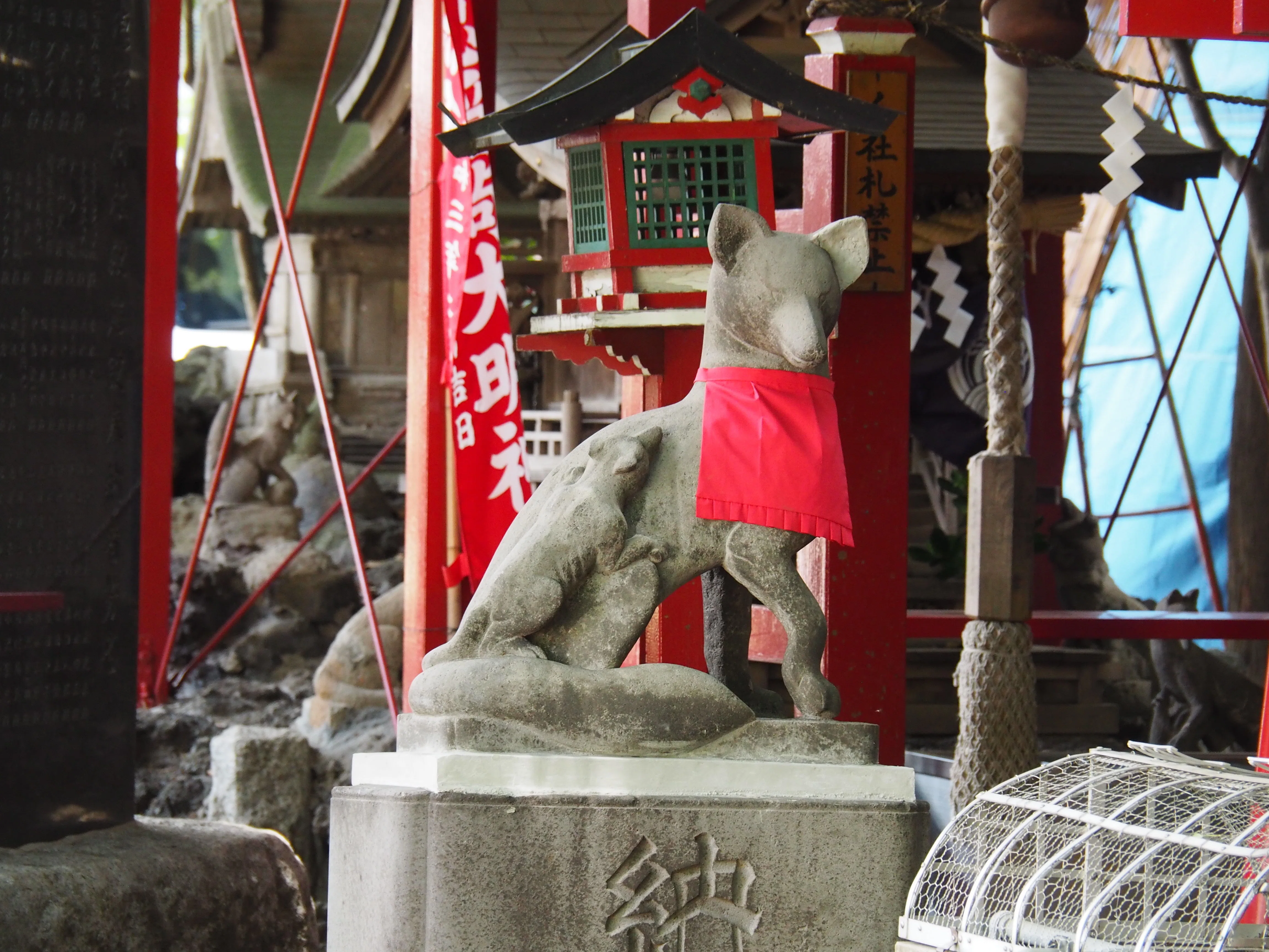 ようこそ！身近な寺社に棲まう、知られざる眷属たちの世界へ〜足で稼い