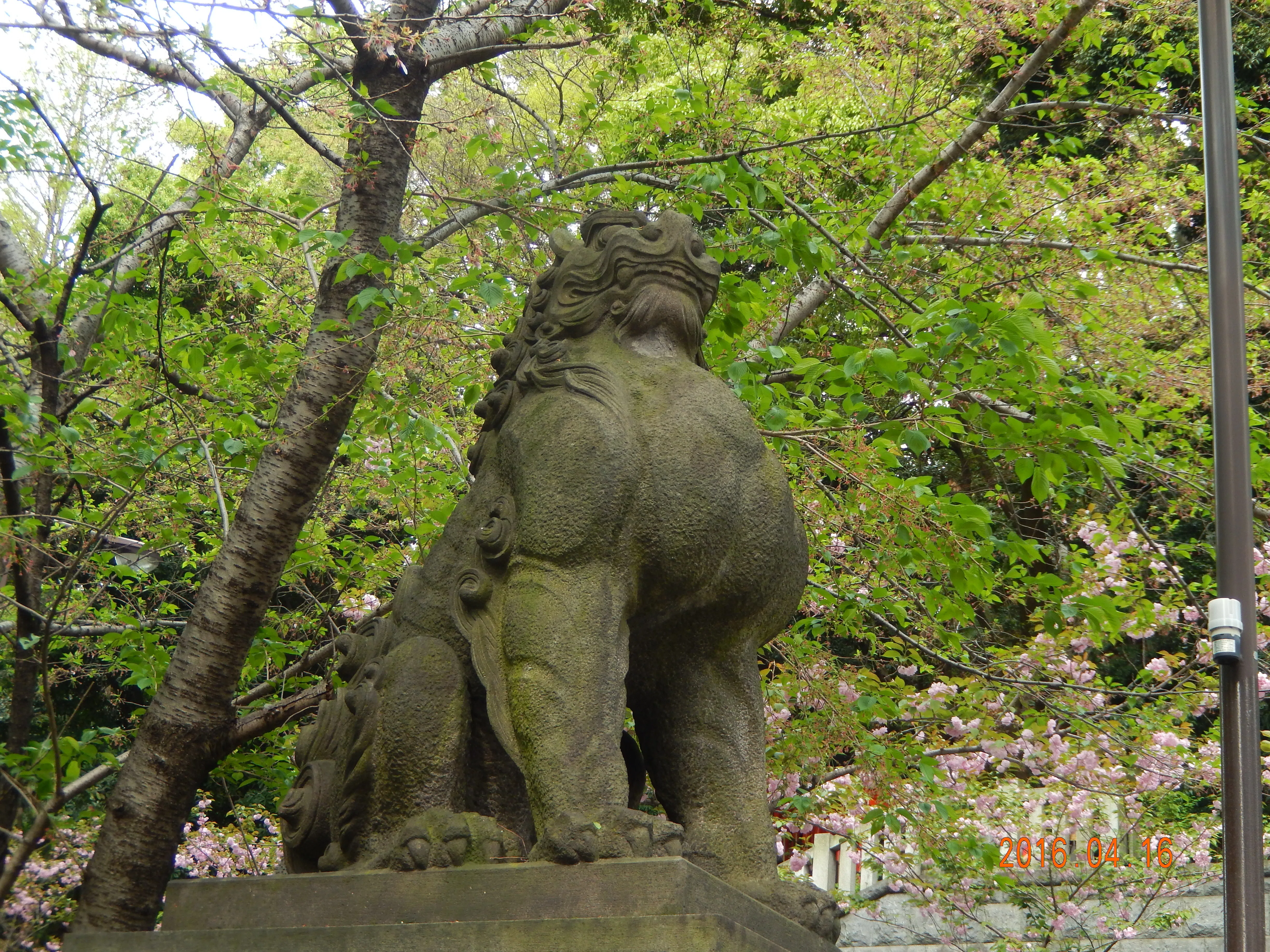 ようこそ！身近な寺社に棲まう、知られざる眷属たちの世界へ〜足で稼い
