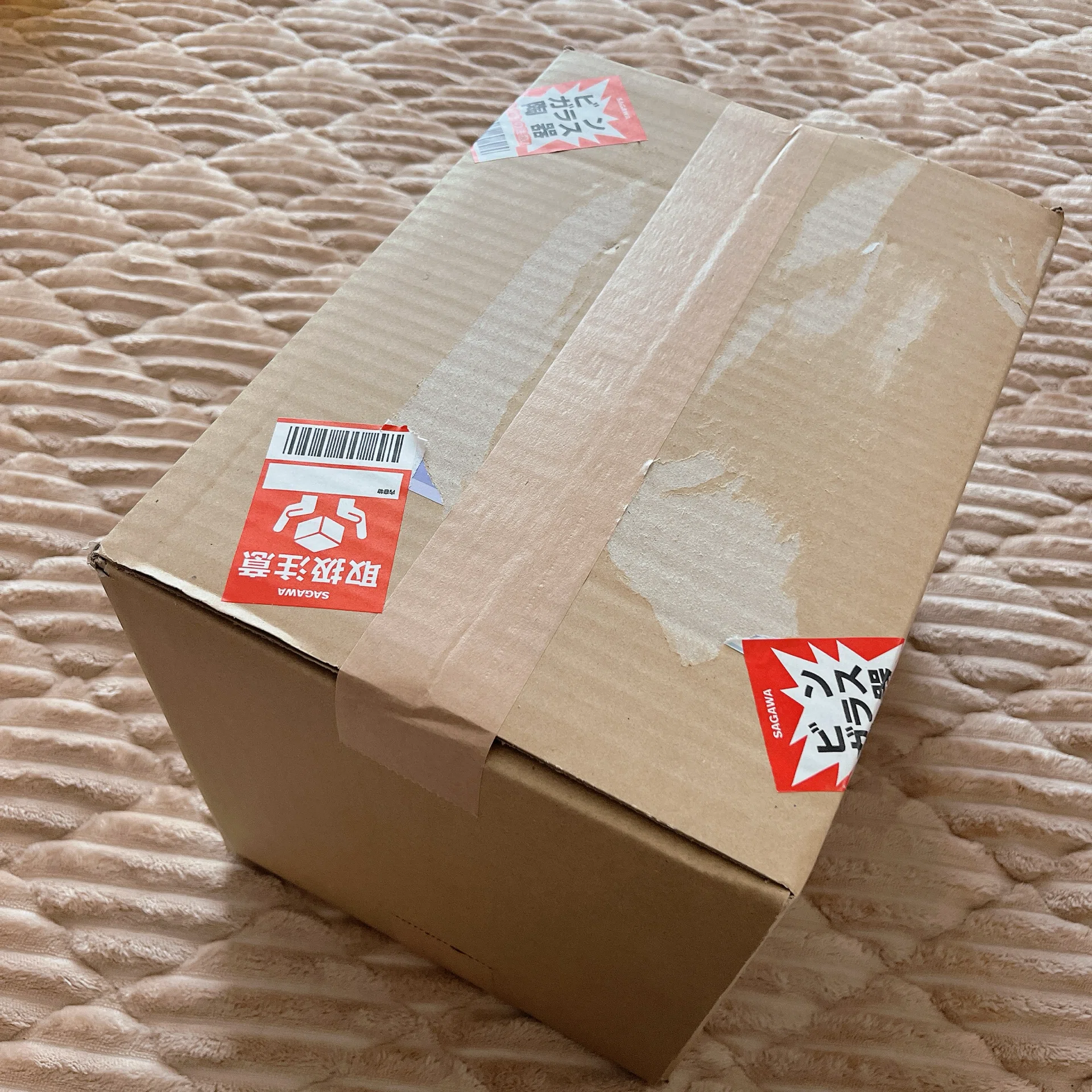 コバエ対策】昆虫飼育ケース『B-BOX』購入レビュー｜鳩田の生活