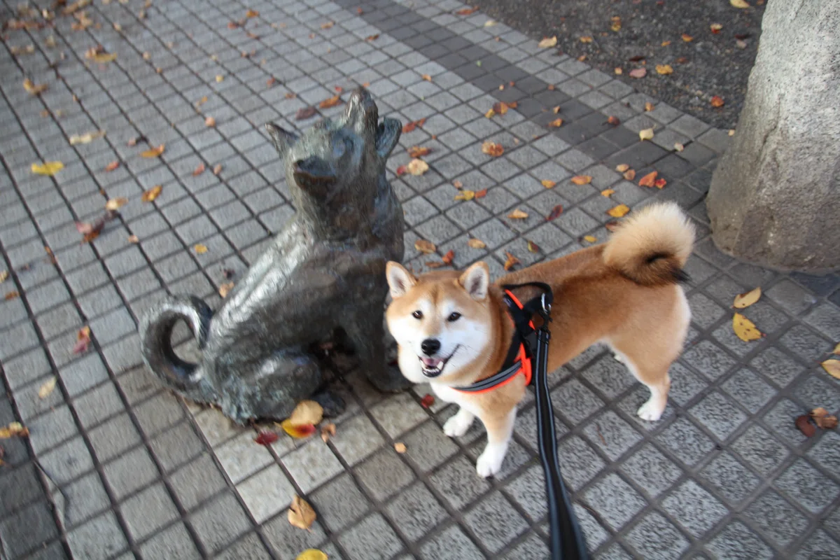 ç»å