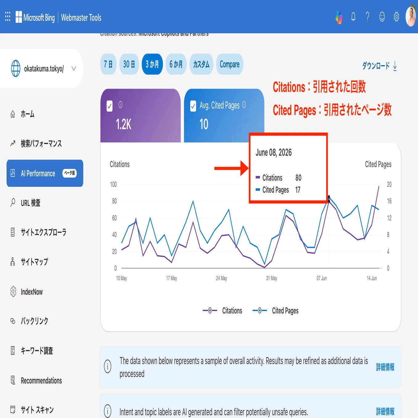 Bing「AIパフォーマンス」レポートの読み方｜Googleサーチコンソールの