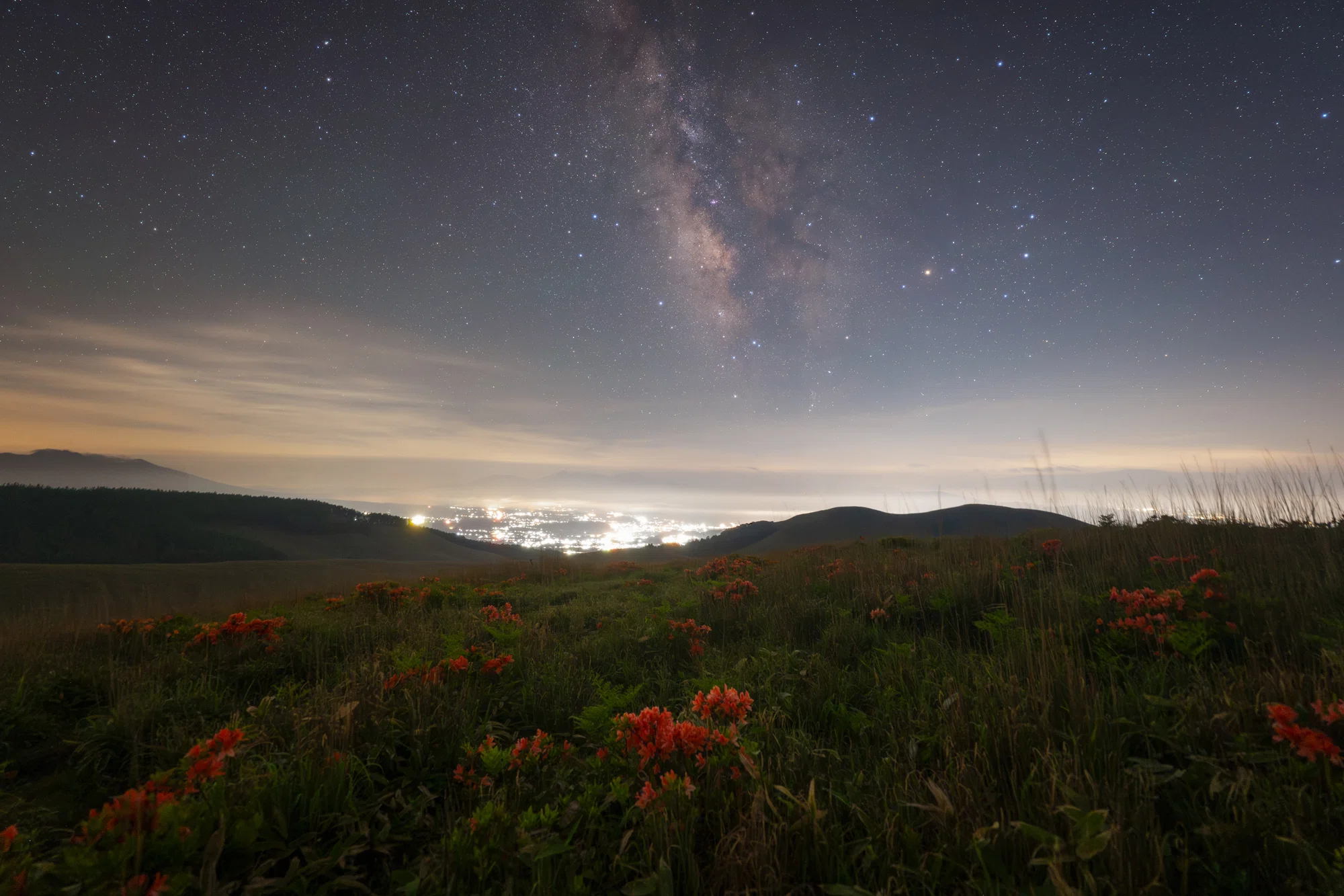 星の風景 レンゲツツジと星空｜星空写真家 × 会社役員 | 「好き」を「得意」に