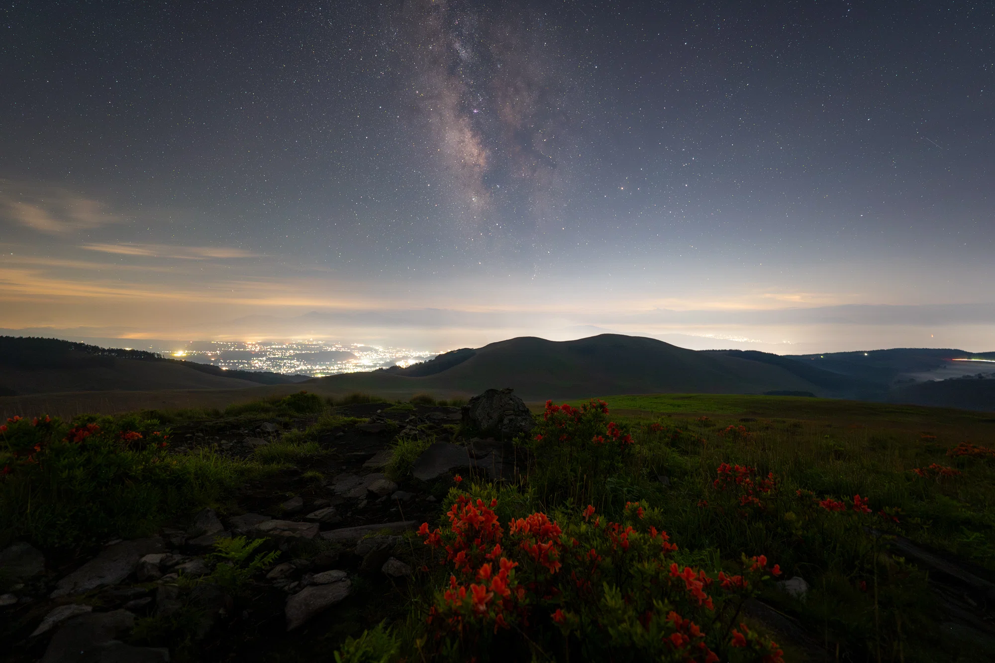 レンゲツツジと星空｜星空写真家 × 会社役員 | 「好き」を「得意」に