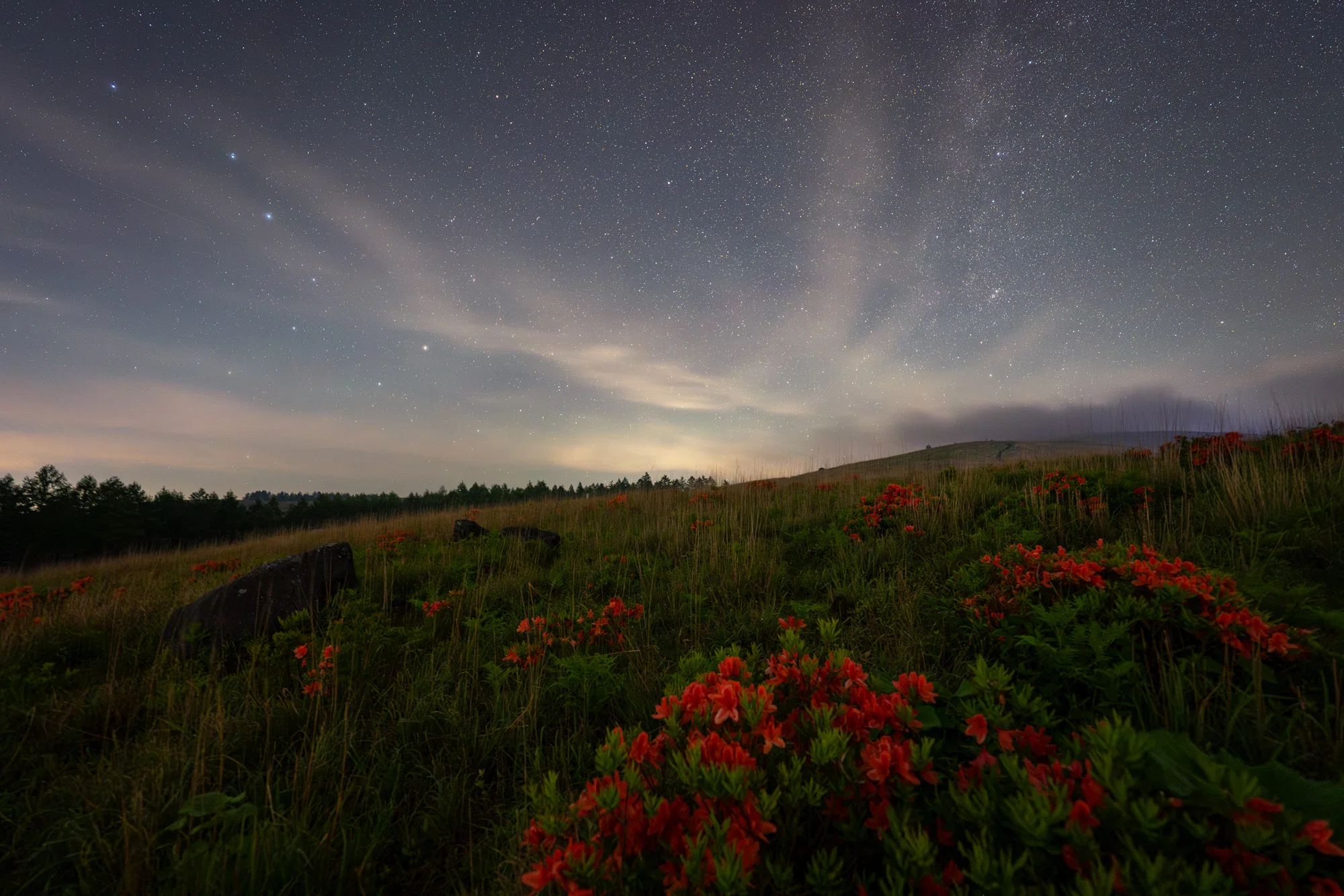レンゲツツジと星空｜星空写真家 × 会社役員 | 「好き」を「得意」に
