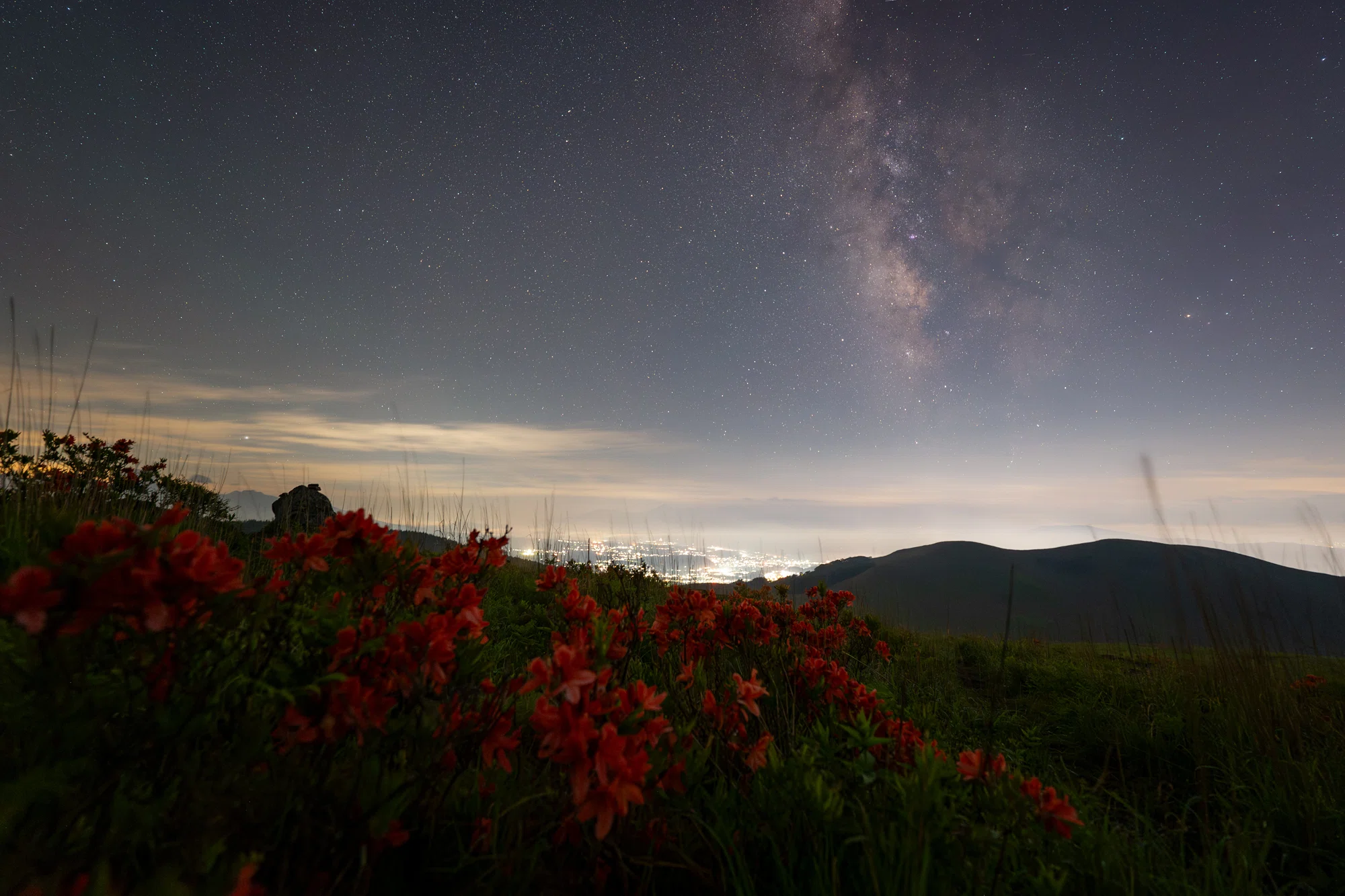 レンゲツツジと星空｜星空写真家 × 会社役員 | 「好き」を「得意」に