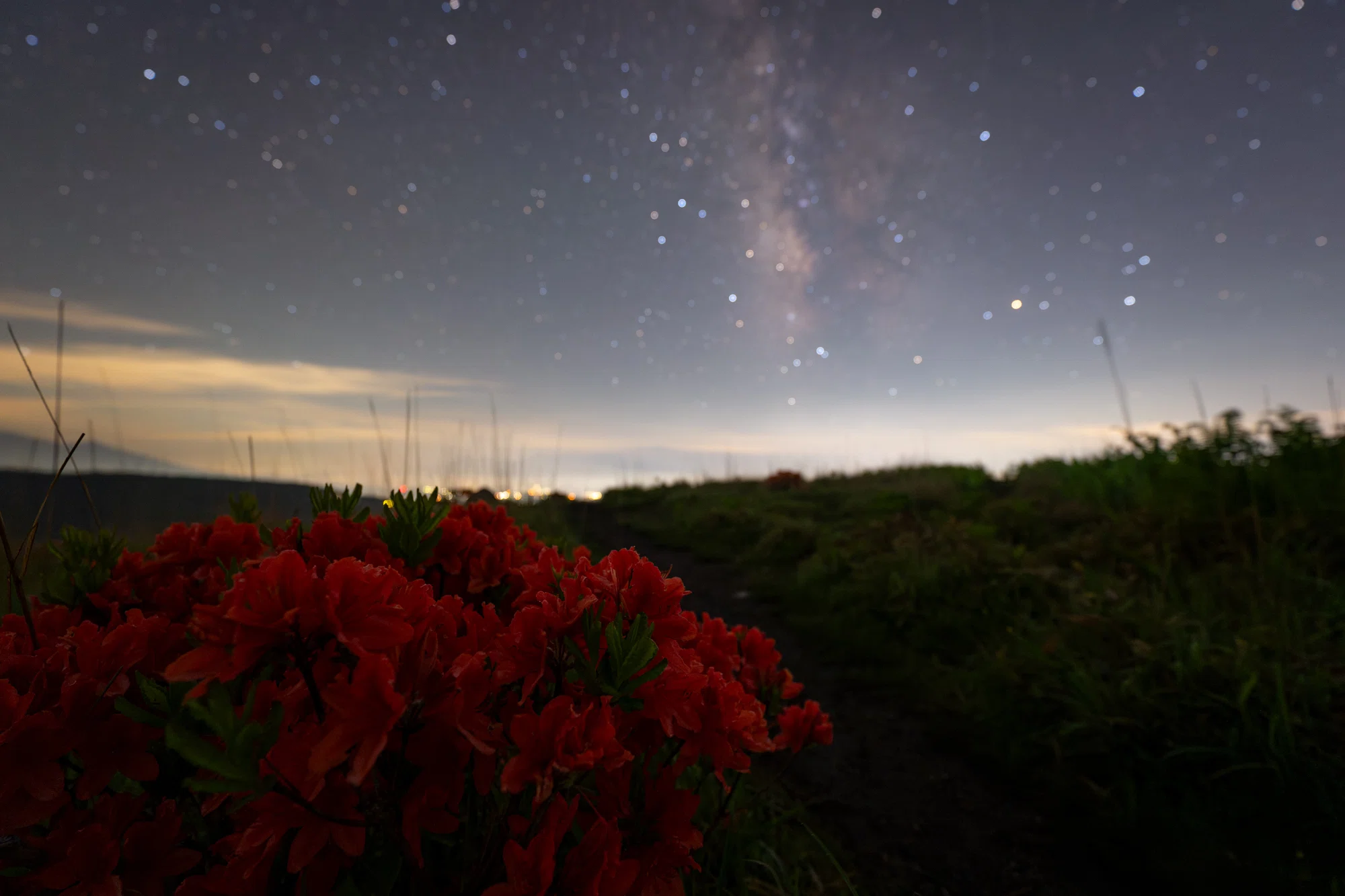 レンゲツツジと星空｜星空写真家 × 会社役員 | 「好き」を「得意」に