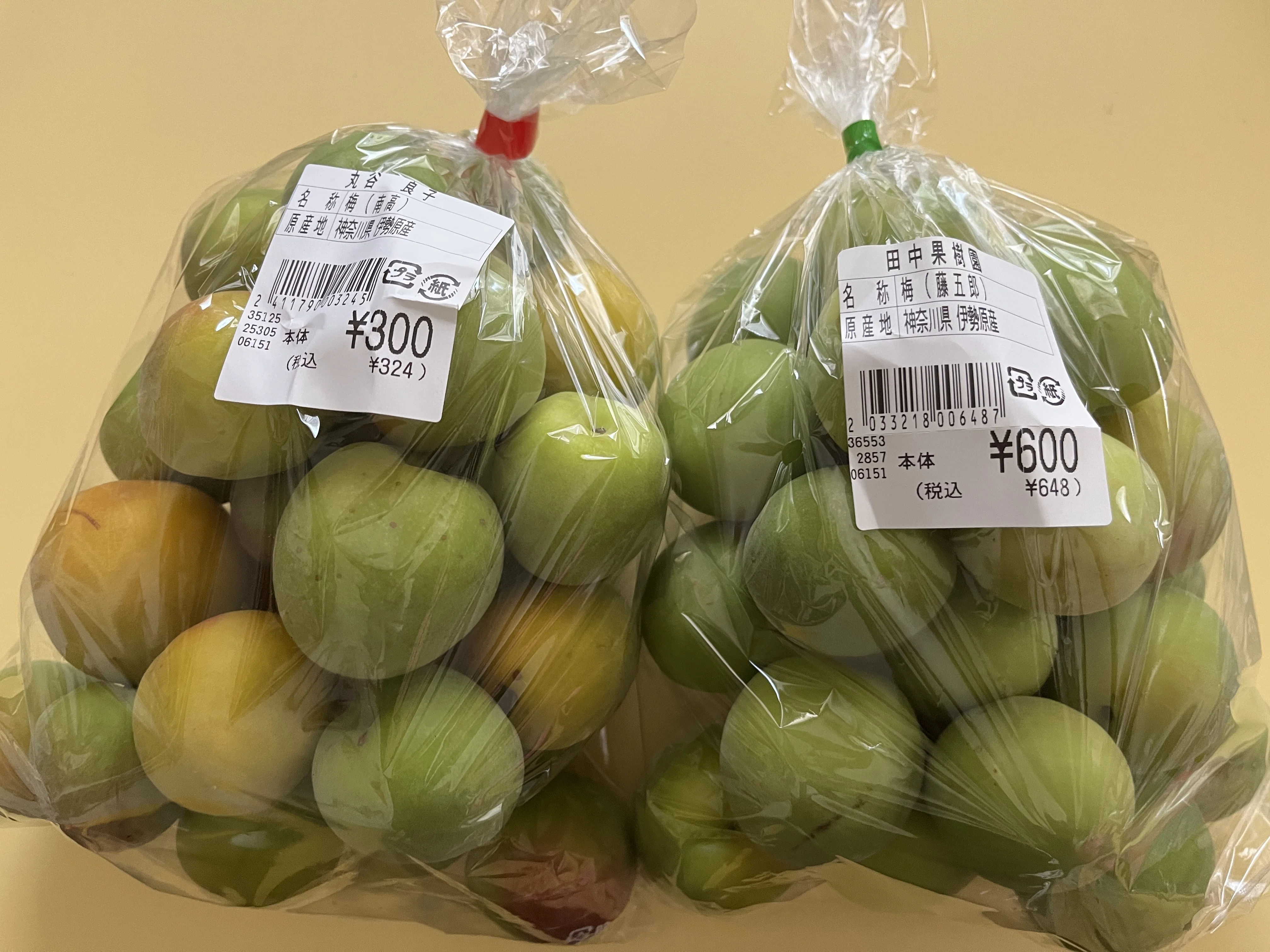 昨年最も美味しく漬かった新潟のご当地梅、肉厚美味しい「藤五郎」を