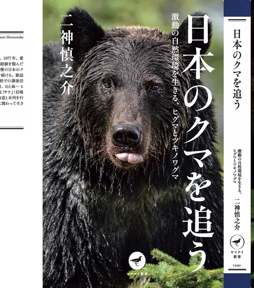 出版のお知らせ】日本のクマを追う -ヤマケイ新書-｜Sinh