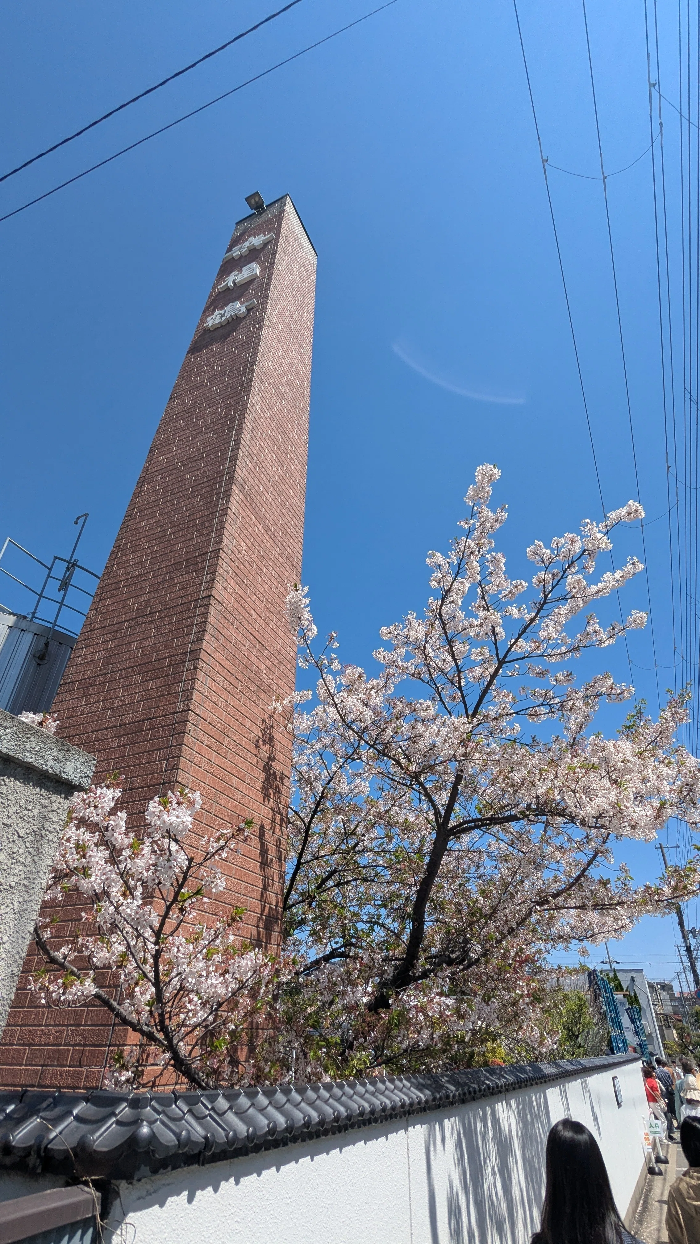 神戸・灘】徒歩10分圏内に4蔵。櫻正宗/白鶴/菊正宗/浜福鶴・と神戸観光