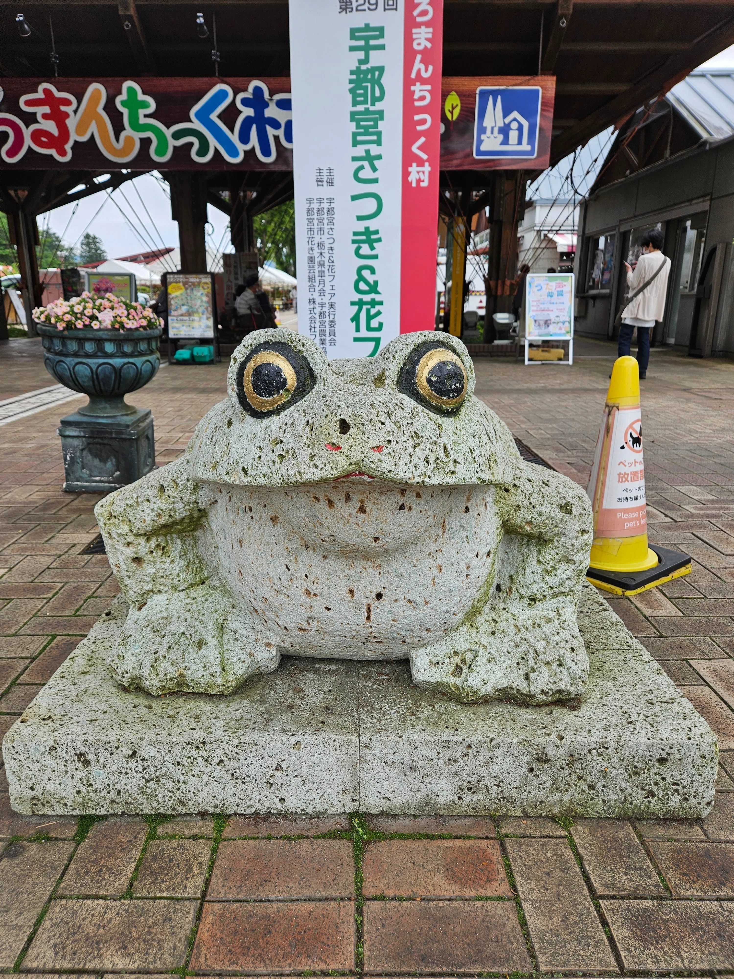 かえる 無事かえる｜夢の超特急