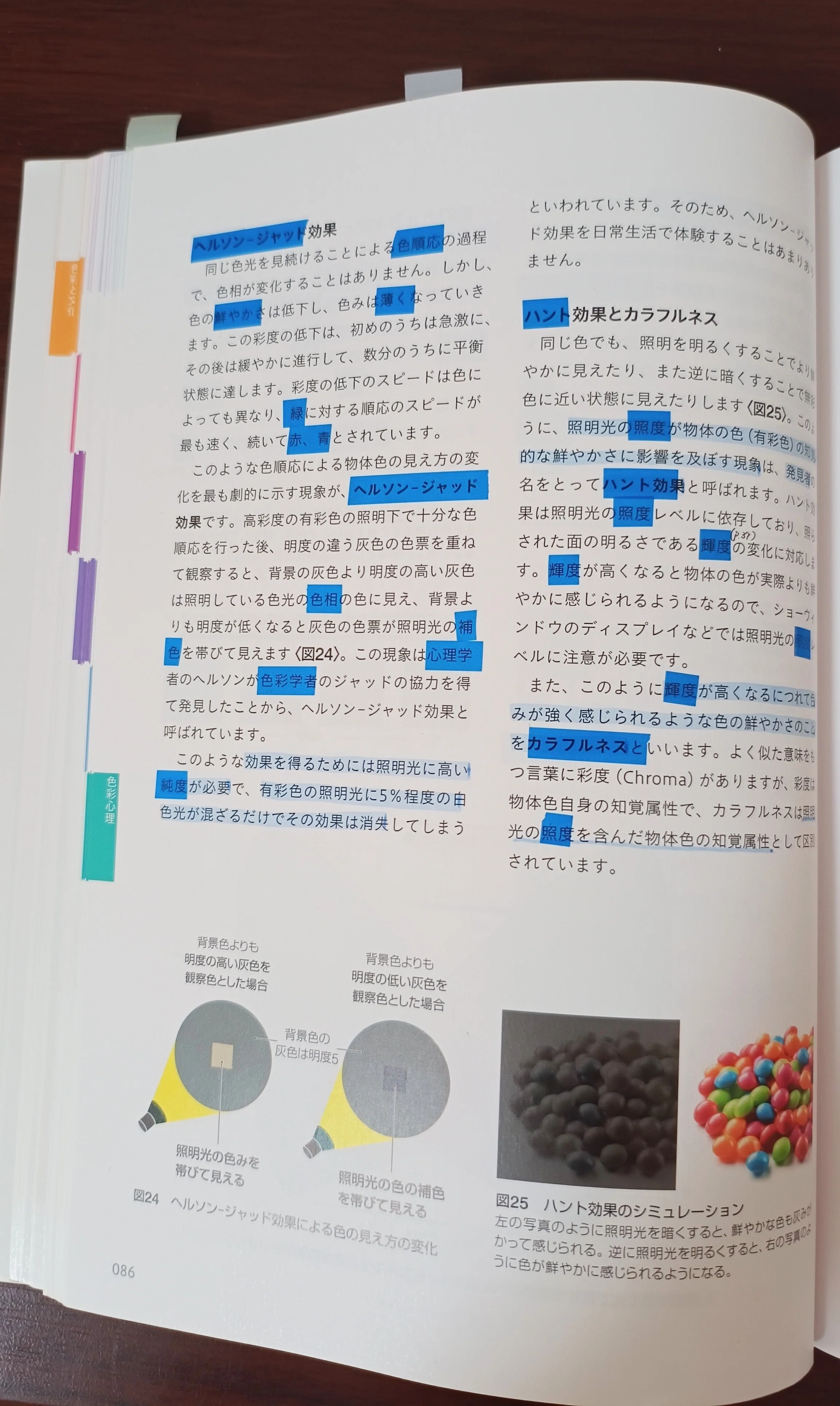 色彩検定1級 勉強方法まとめ｜沙羅