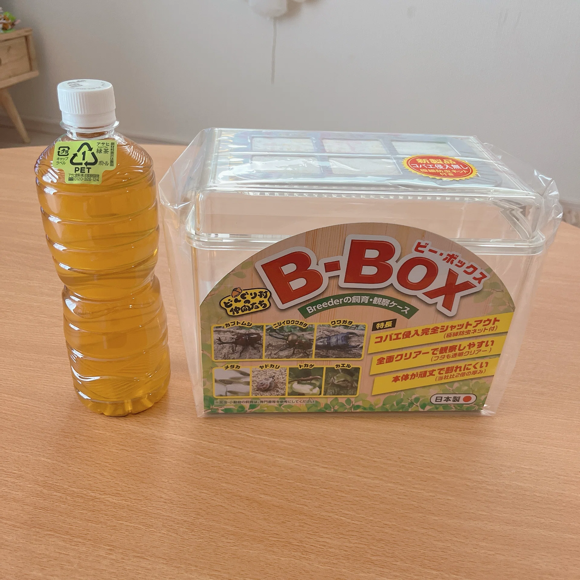 コバエ対策】昆虫飼育ケース『B-BOX』購入レビュー｜鳩田の生活