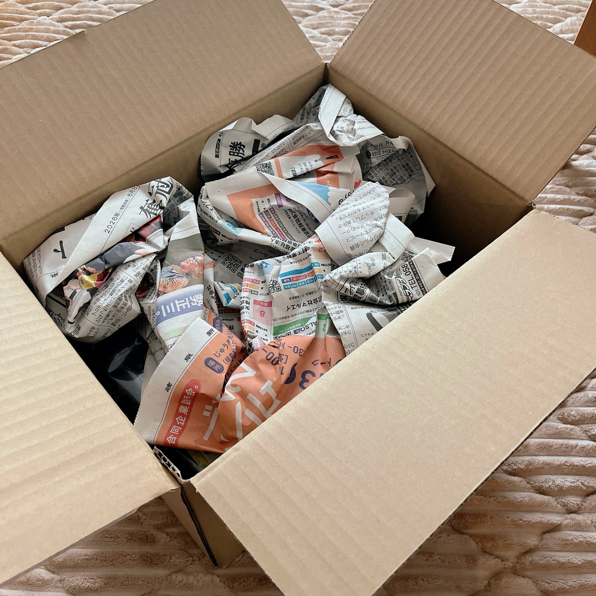 コバエ対策】昆虫飼育ケース『B-BOX』購入レビュー｜鳩田の生活