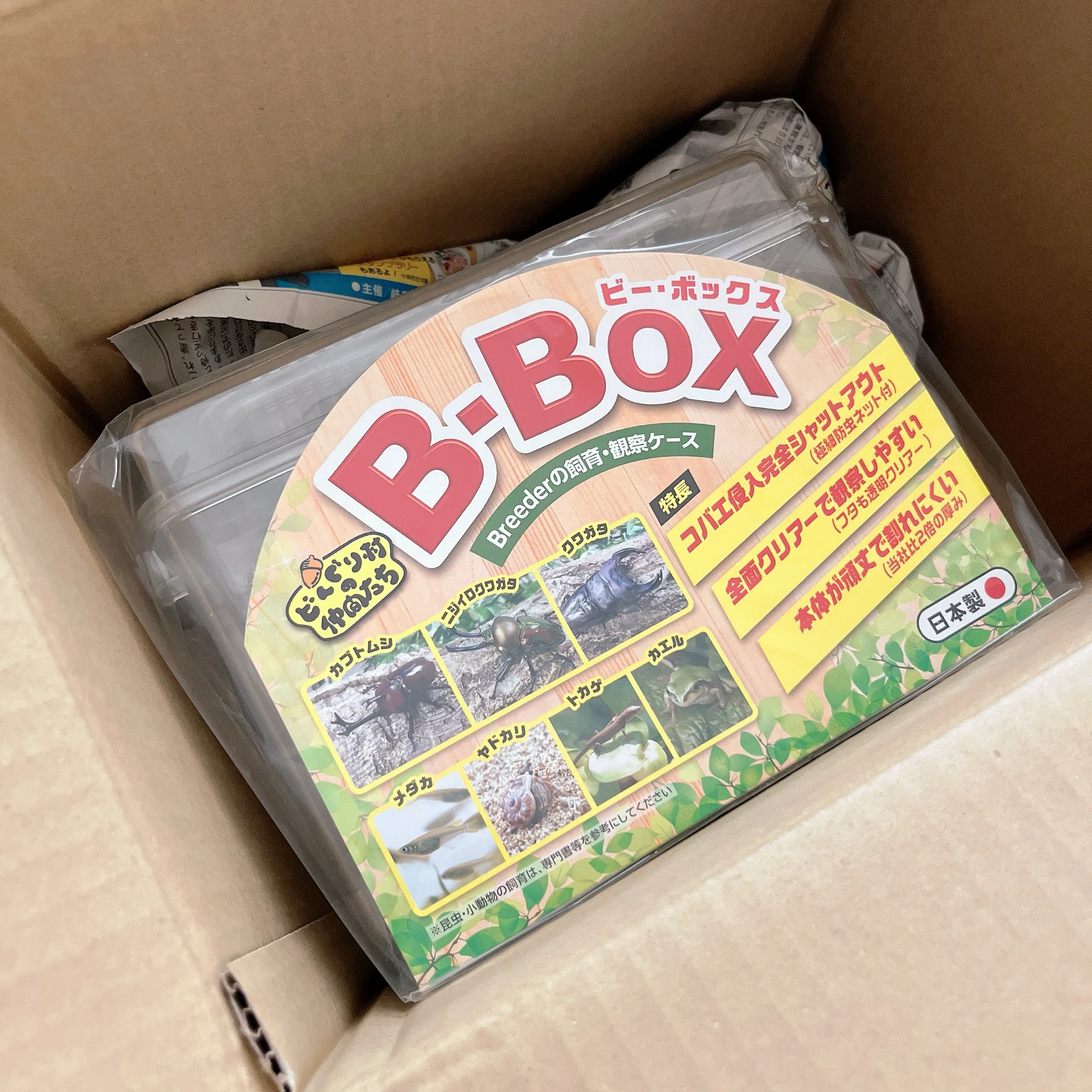 コバエ防止】昆虫飼育ケース『B-BOX』購入レビュー｜鳩田の生活