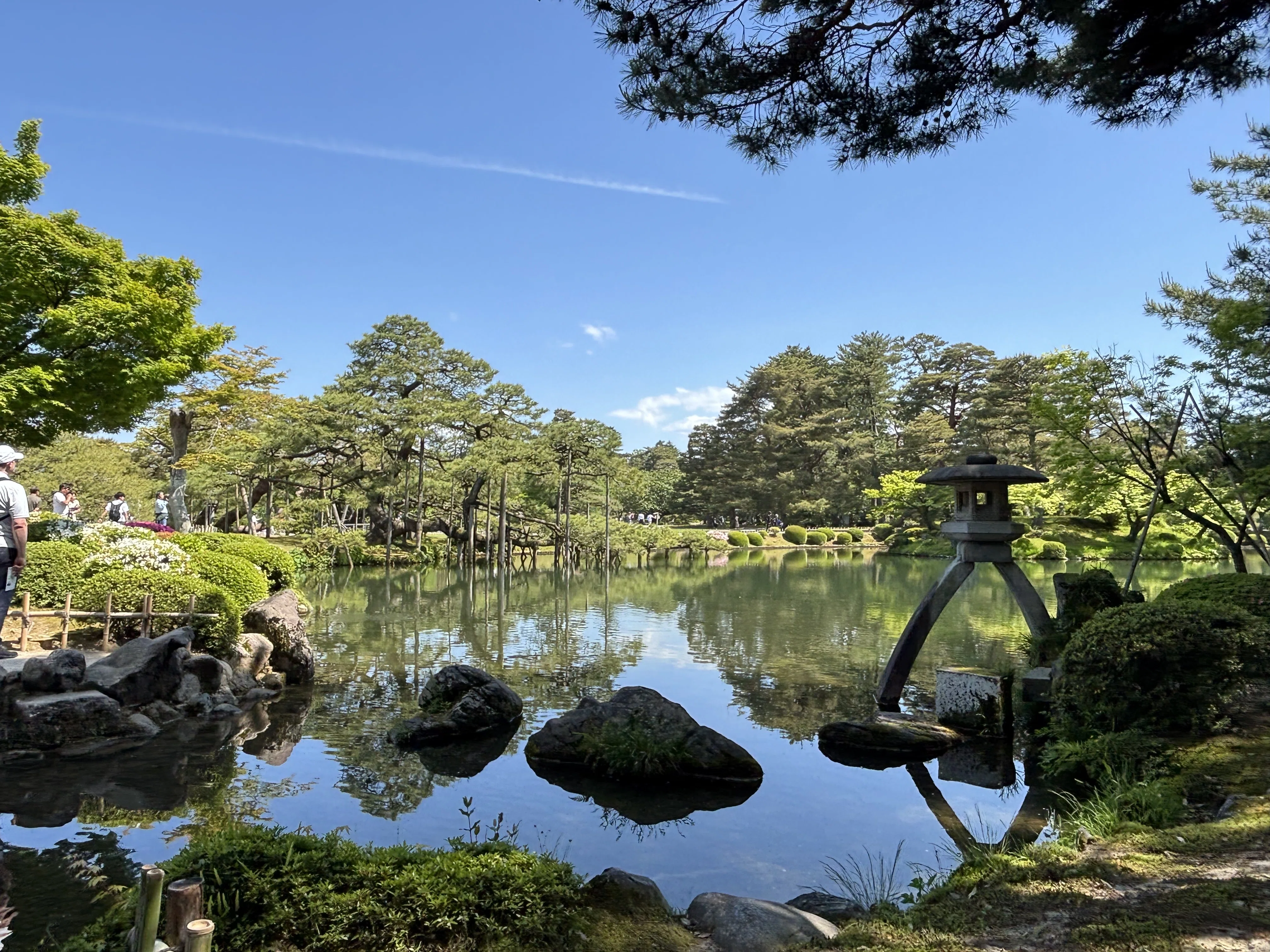 日本庭園はなぜ心を動かすのか？｜枯山水だけじゃない、庭に隠された